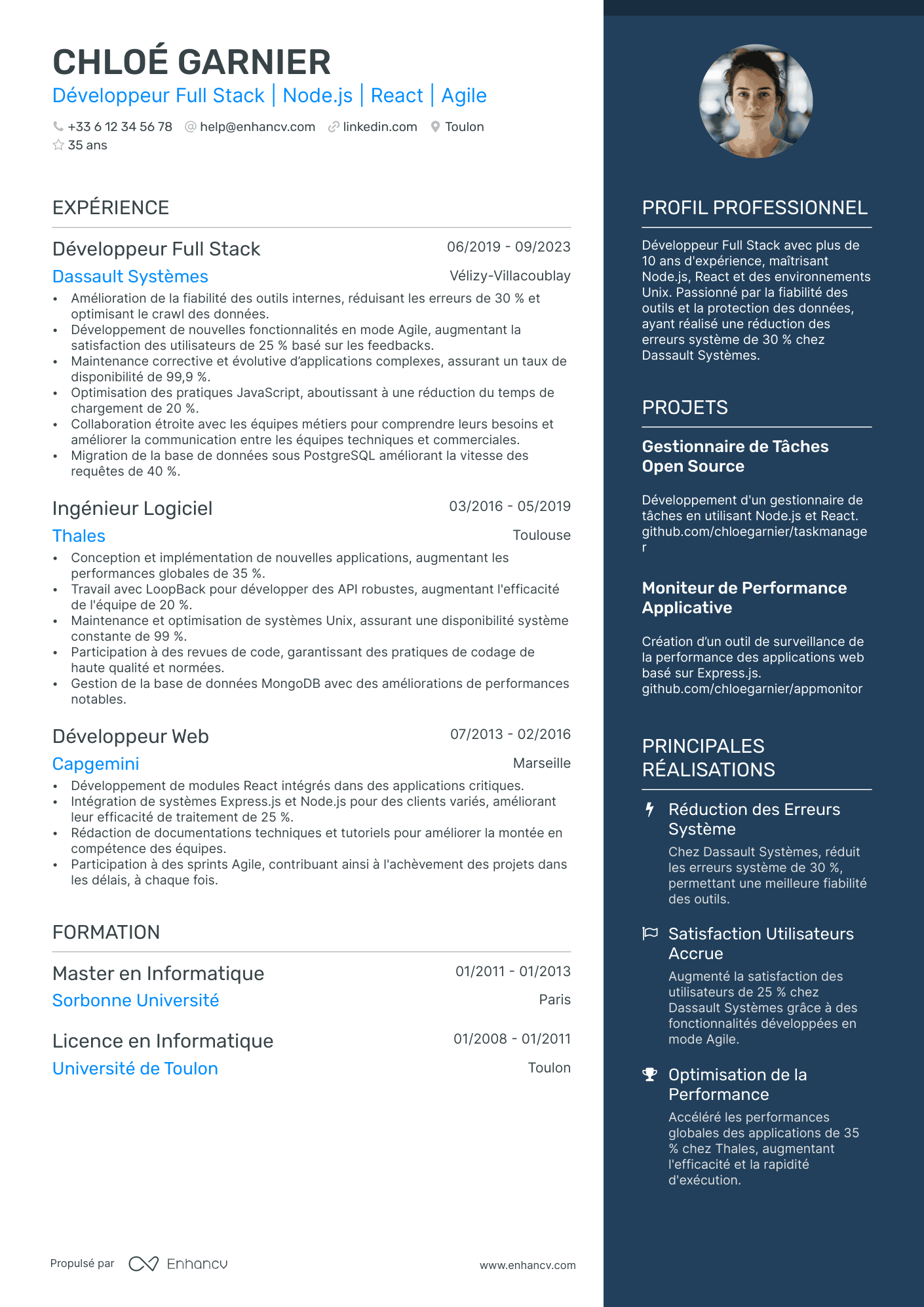 Lead Web Développeur Resume Example