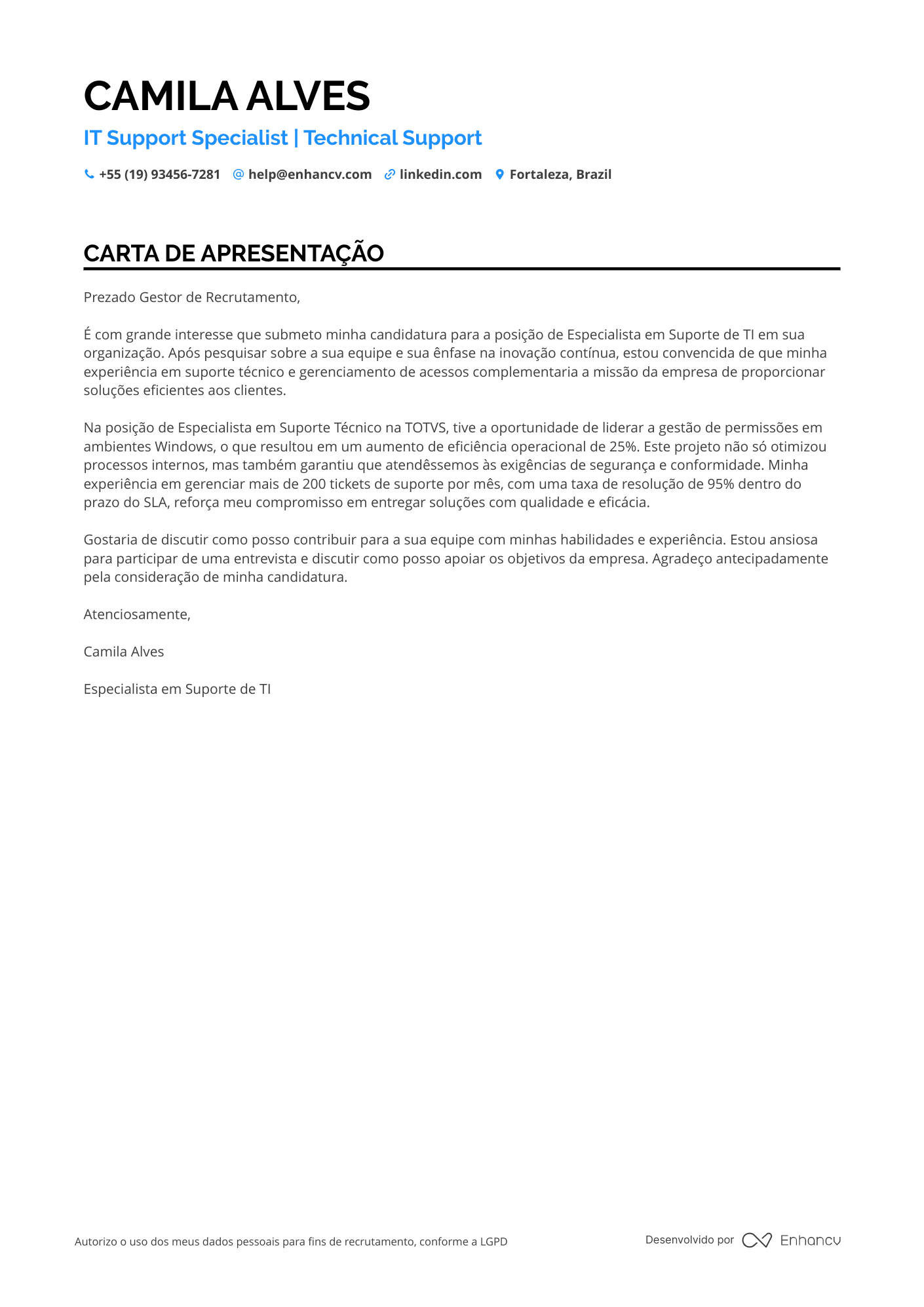Suporte de TI Júnior Resume Example