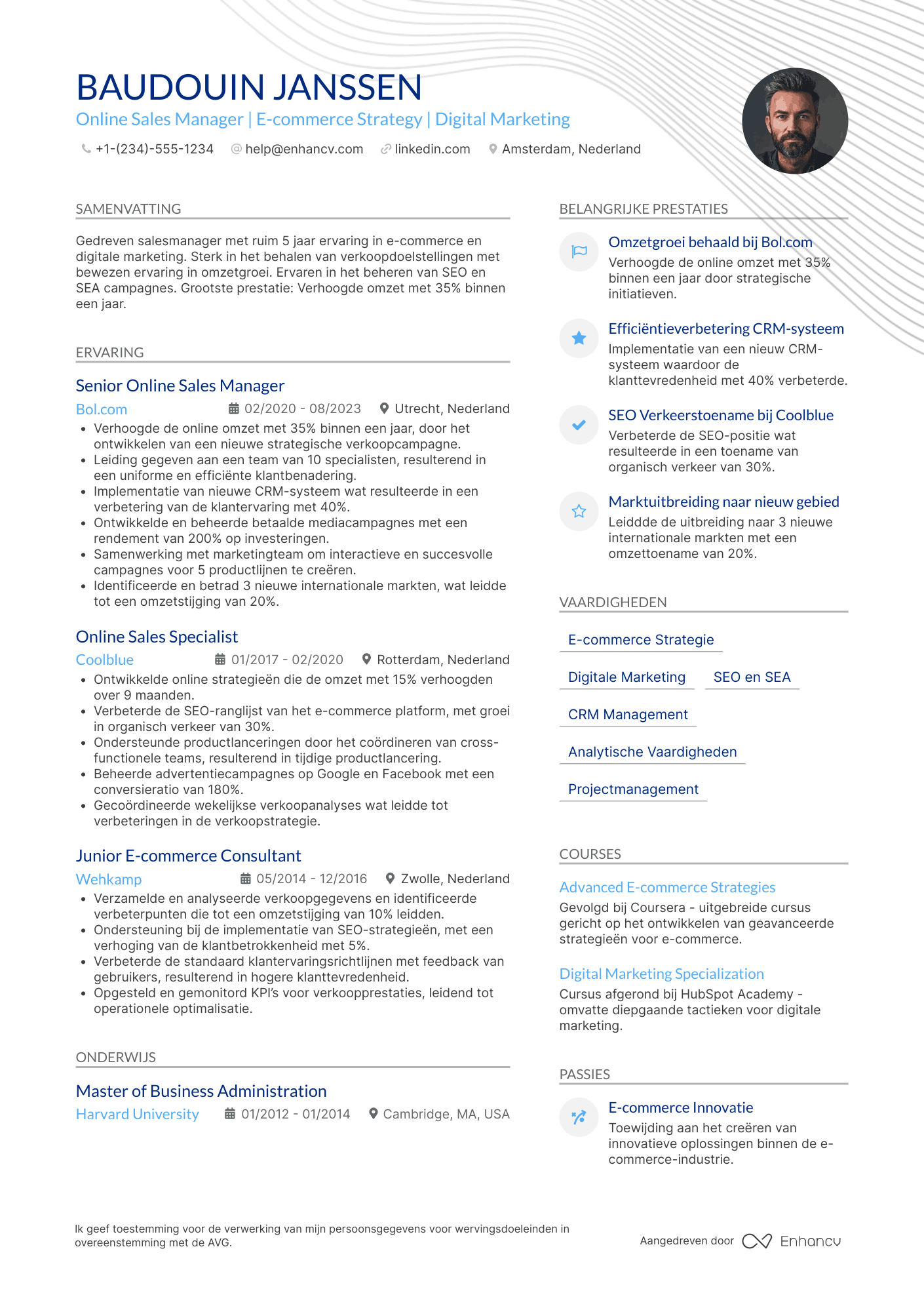 CV voor Online Salesmanager Resume Example