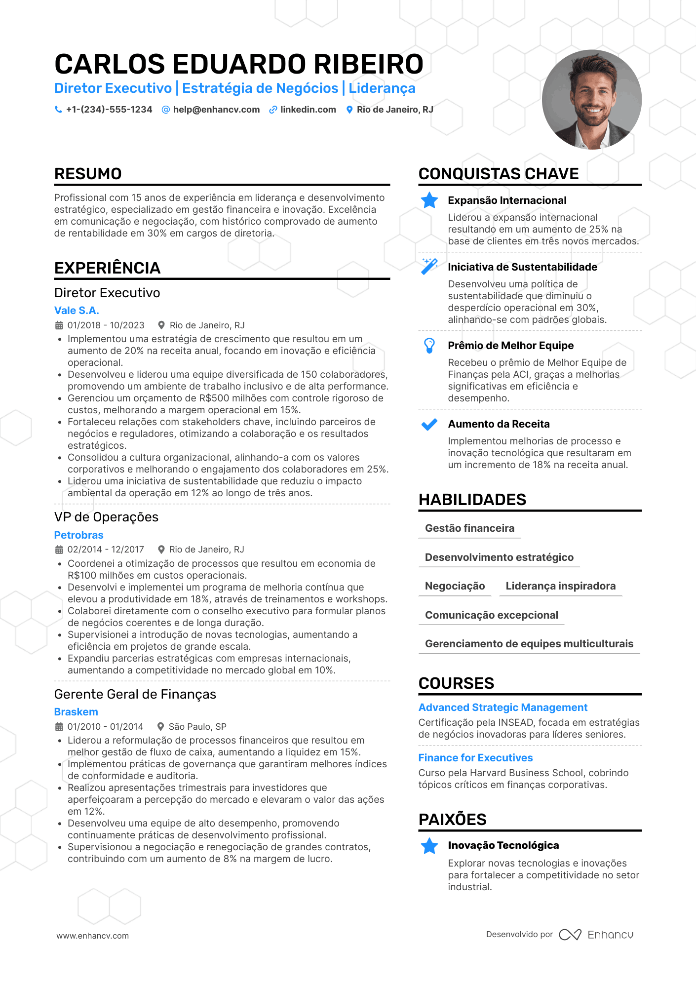 Currículo de diretor executivo Resume Example
