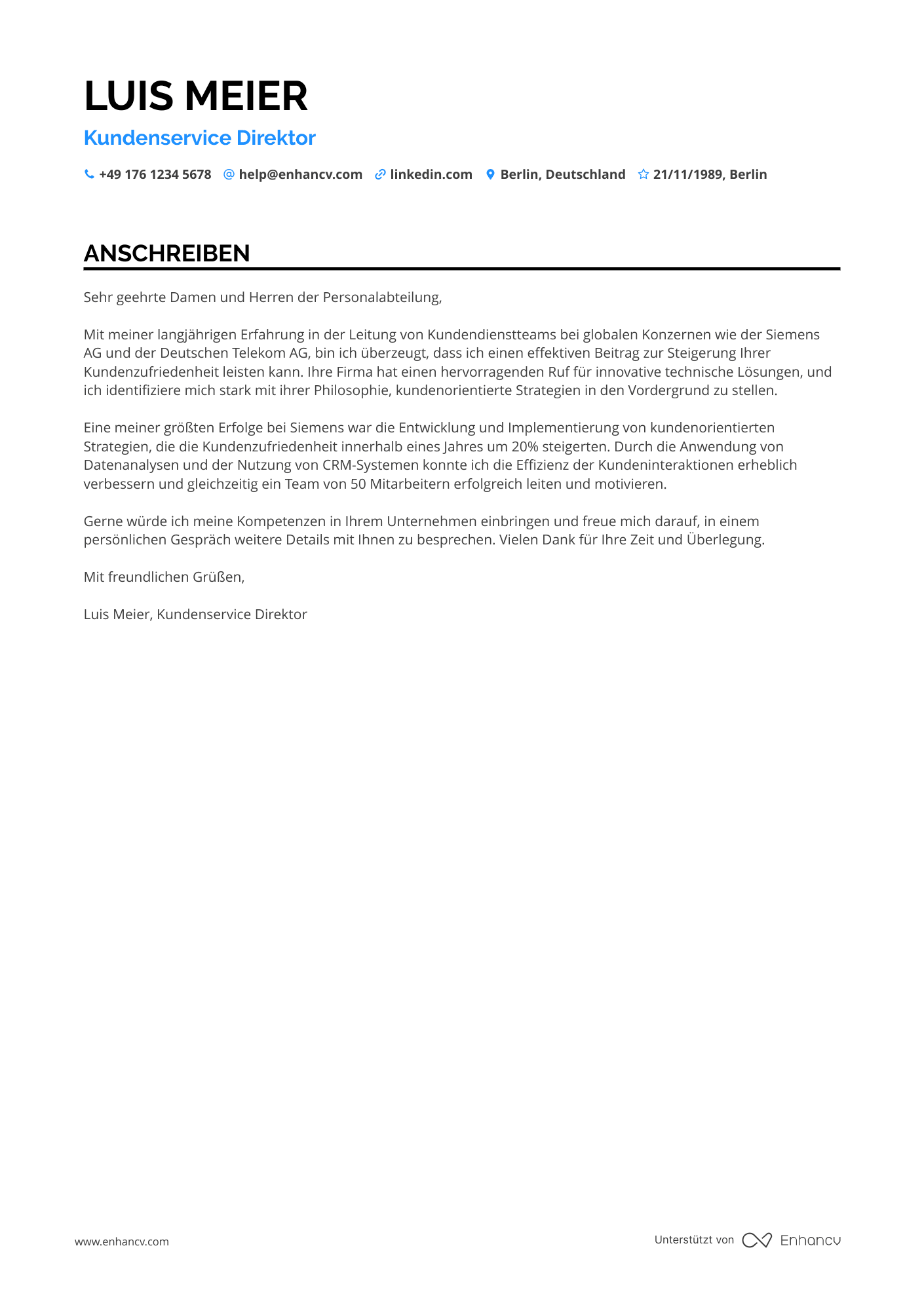 Kundenservice Direktor Resume Example