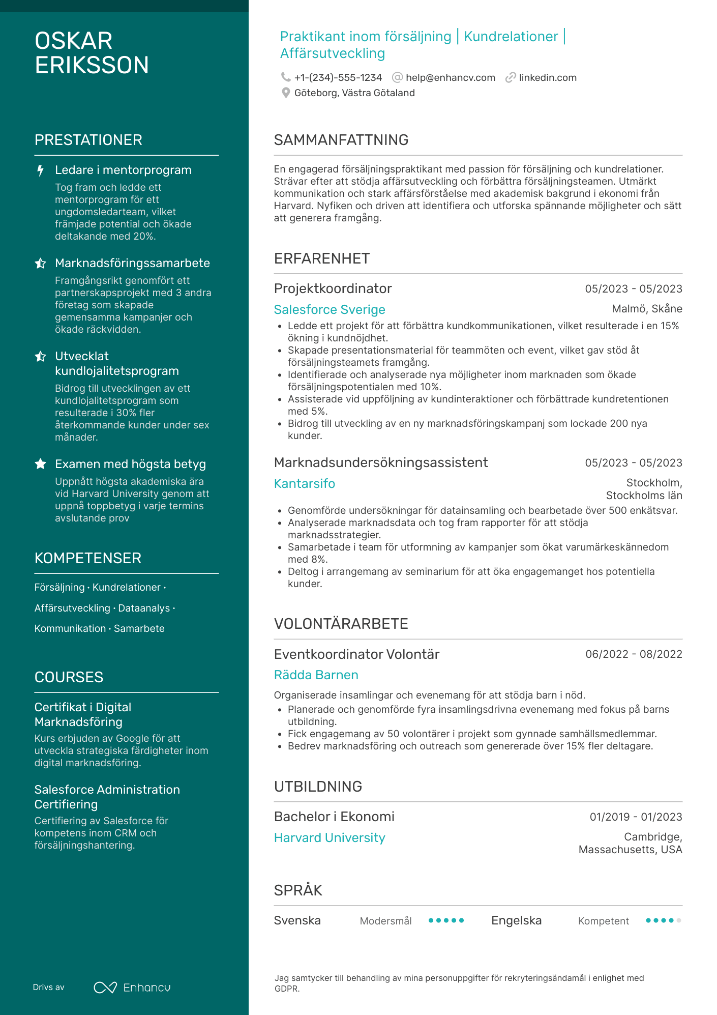 CV för Praktikant im Vertrieb Resume Example