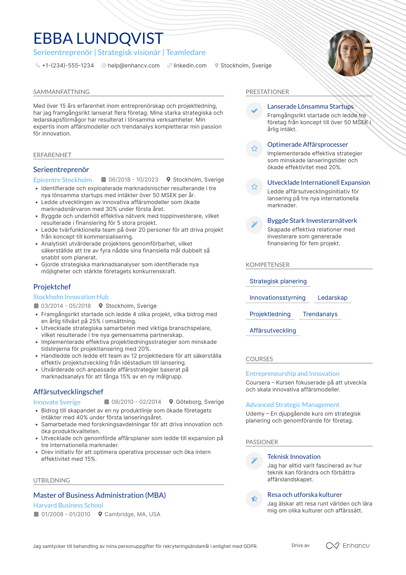 CV för Serieentreprenör Resume Example