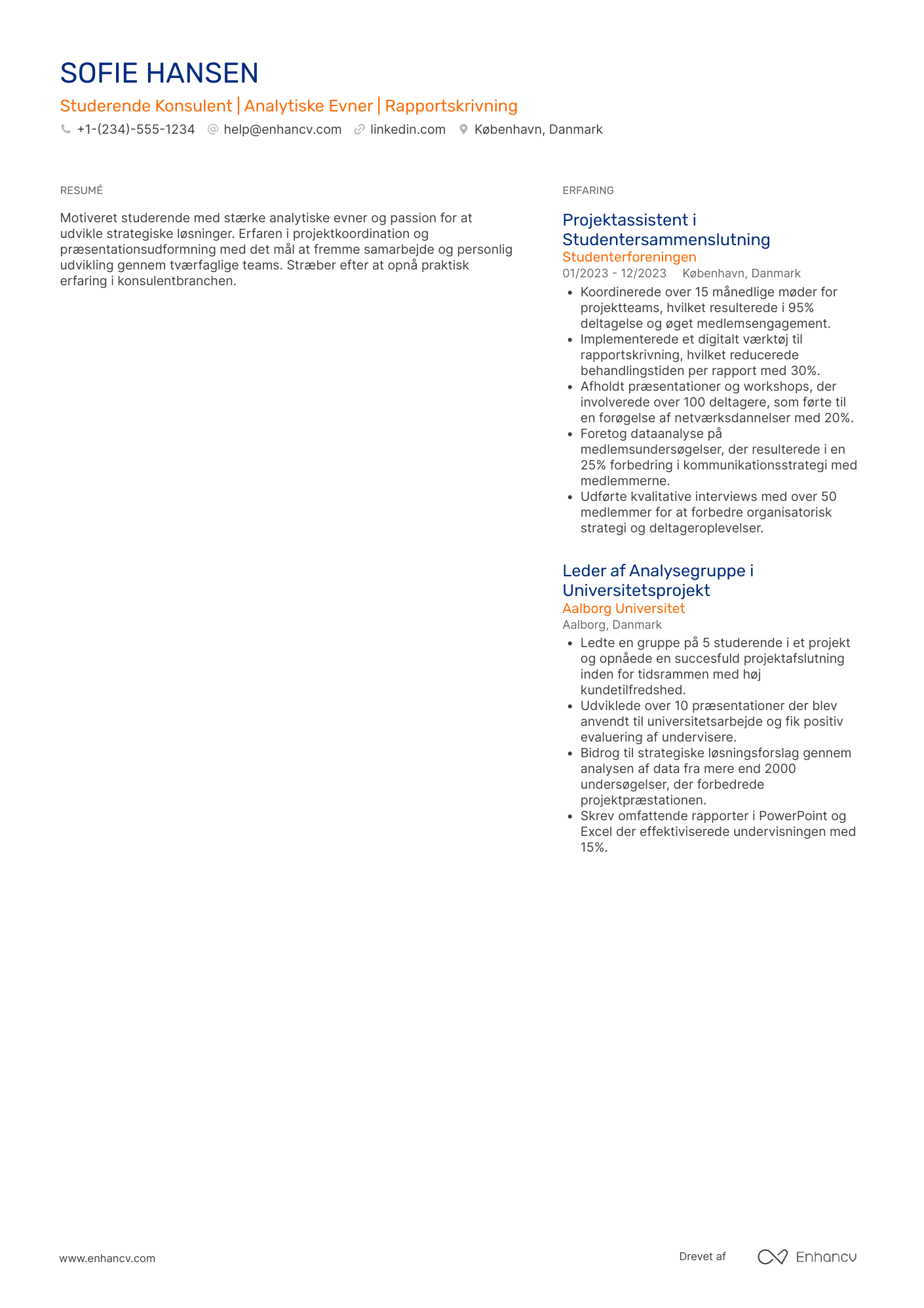 CV til Studerende Konsulent Resume Example