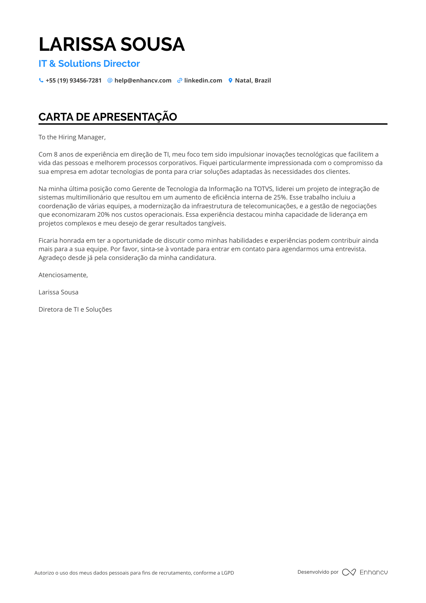 Diretor de TI Resume Example