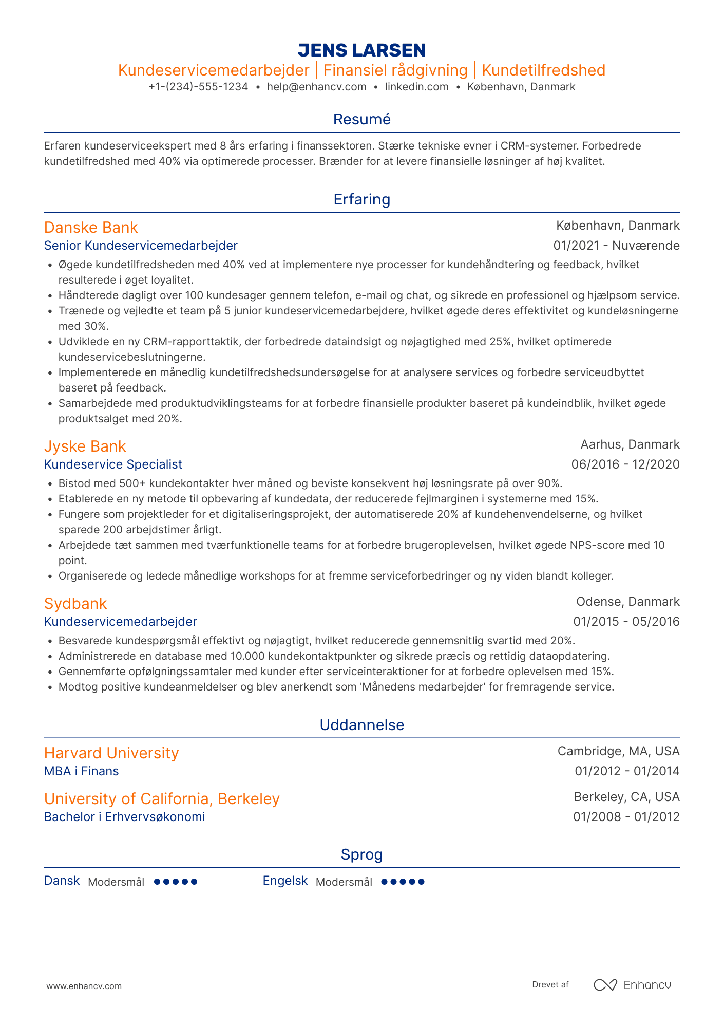 CV til Kundeservicemedarbejder i finanssektoren Resume Example