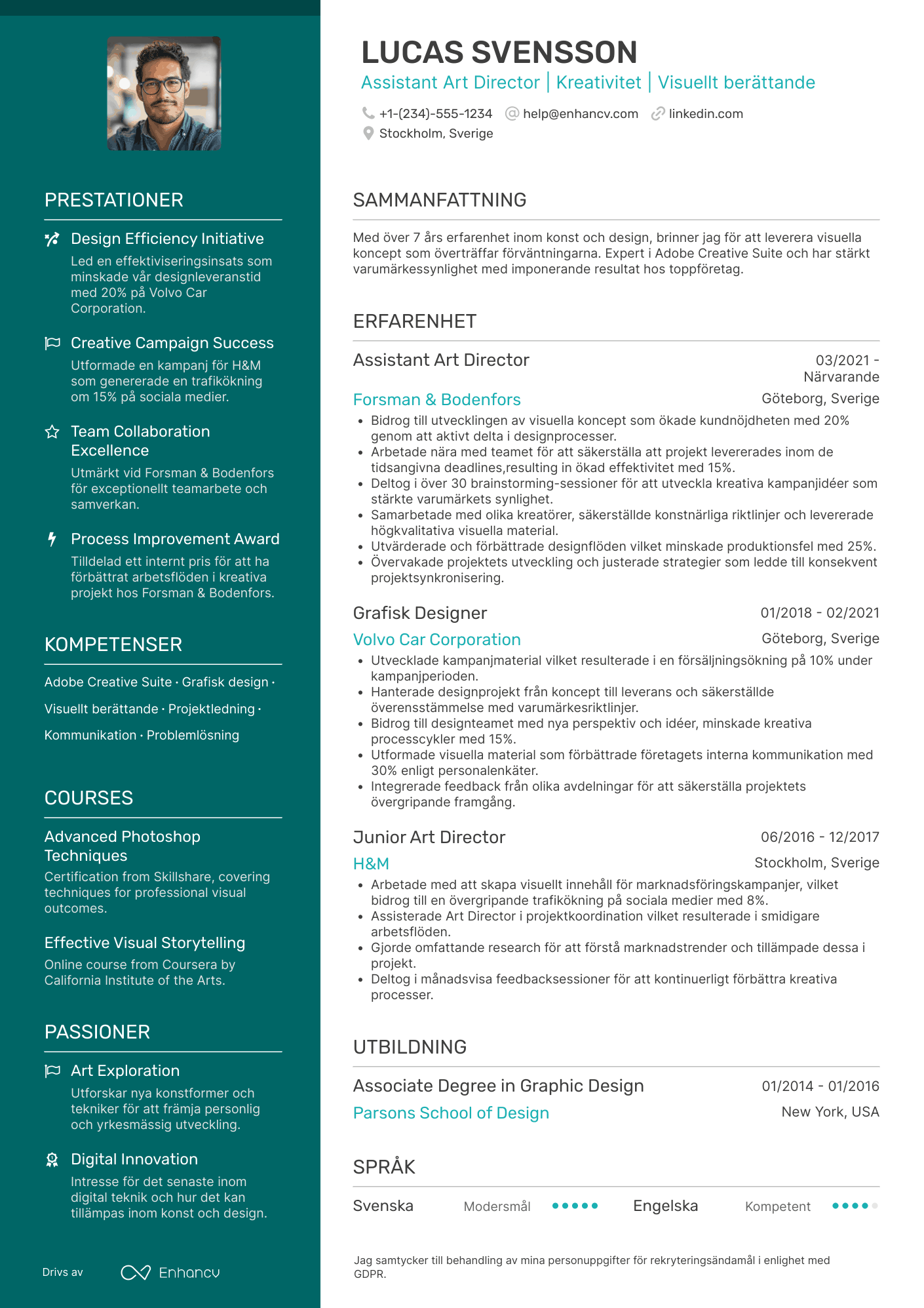 CV för Assistant Art Director Resume Example
