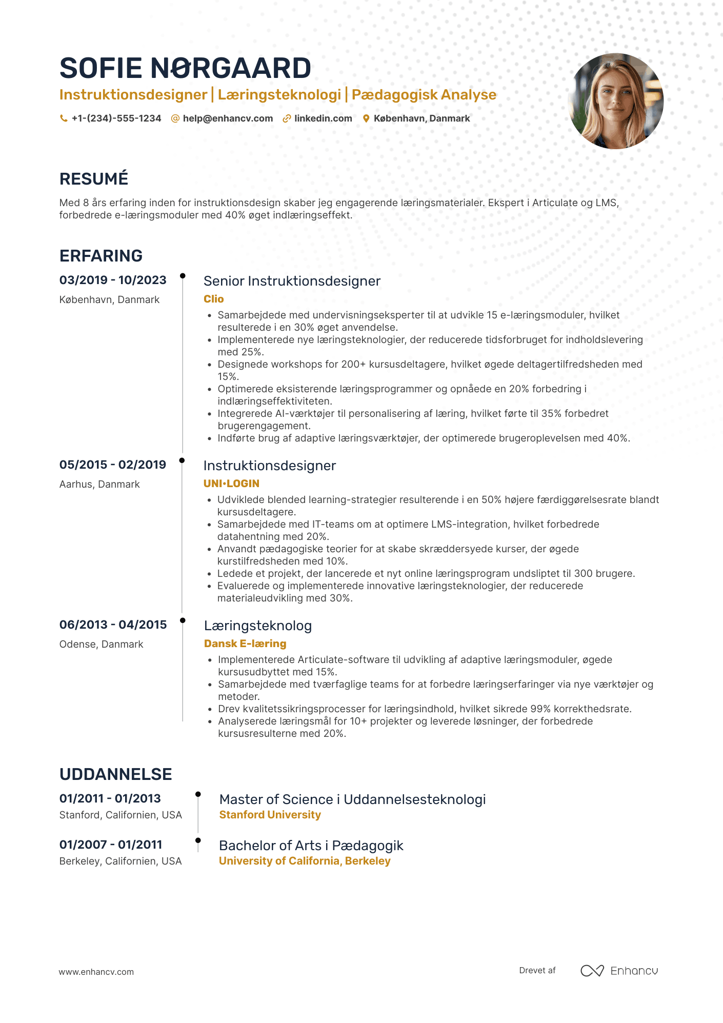 CV til Instruktionsdesigner Resume Example
