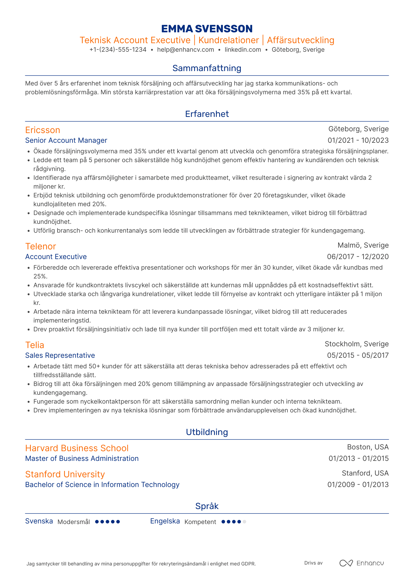 CV för Technical Account Executive Resume Example