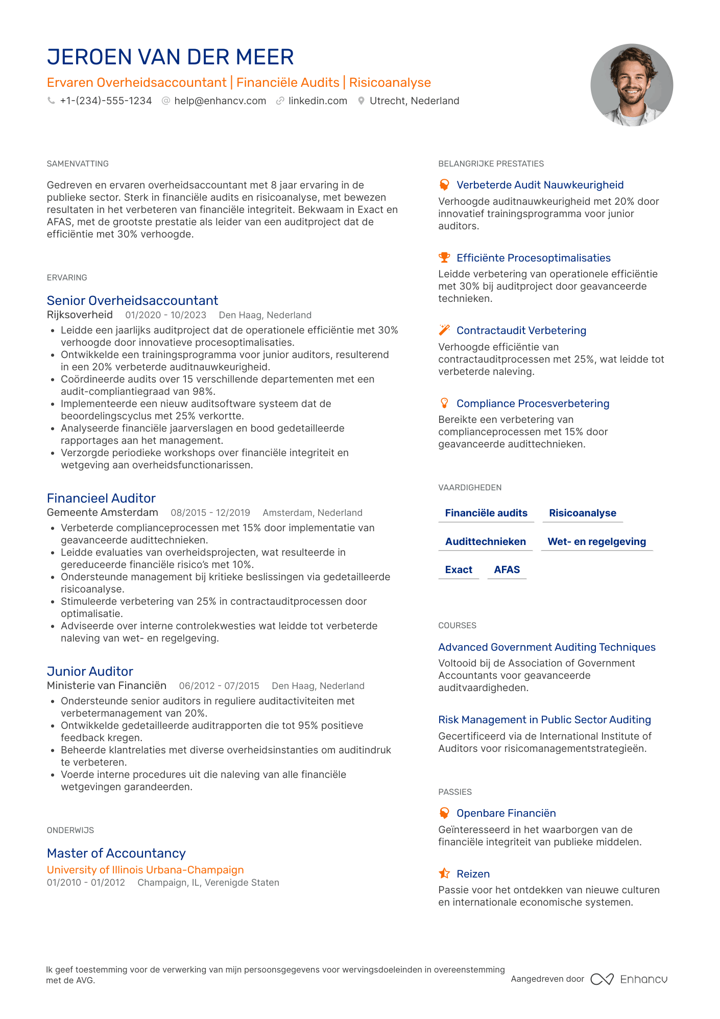CV voor Overheidsaccountant Resume Example