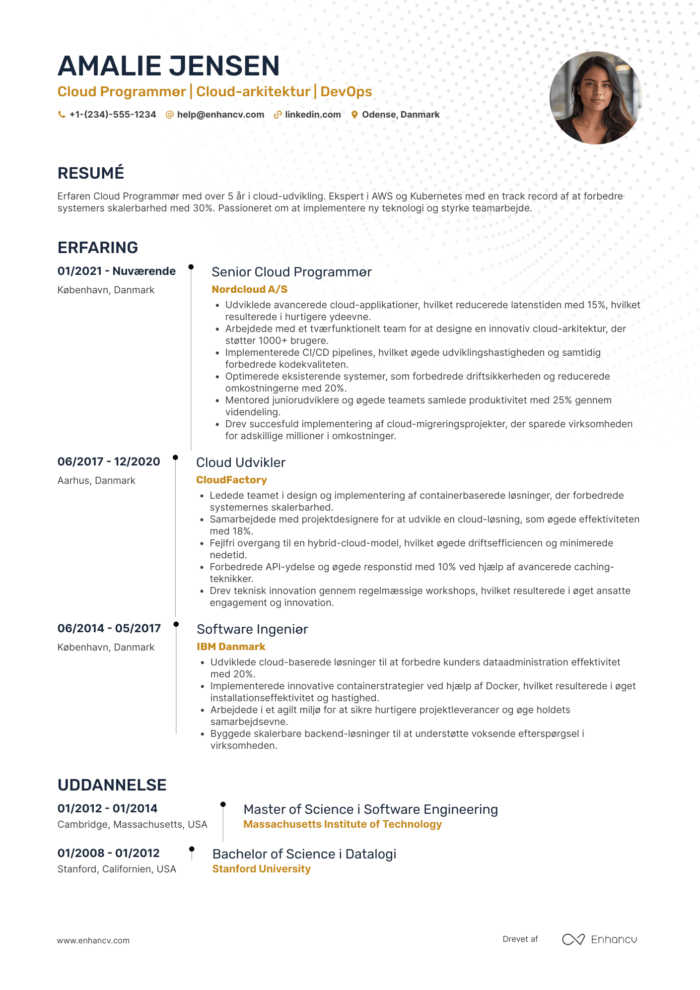 CV til Cloud Programmør Resume Example