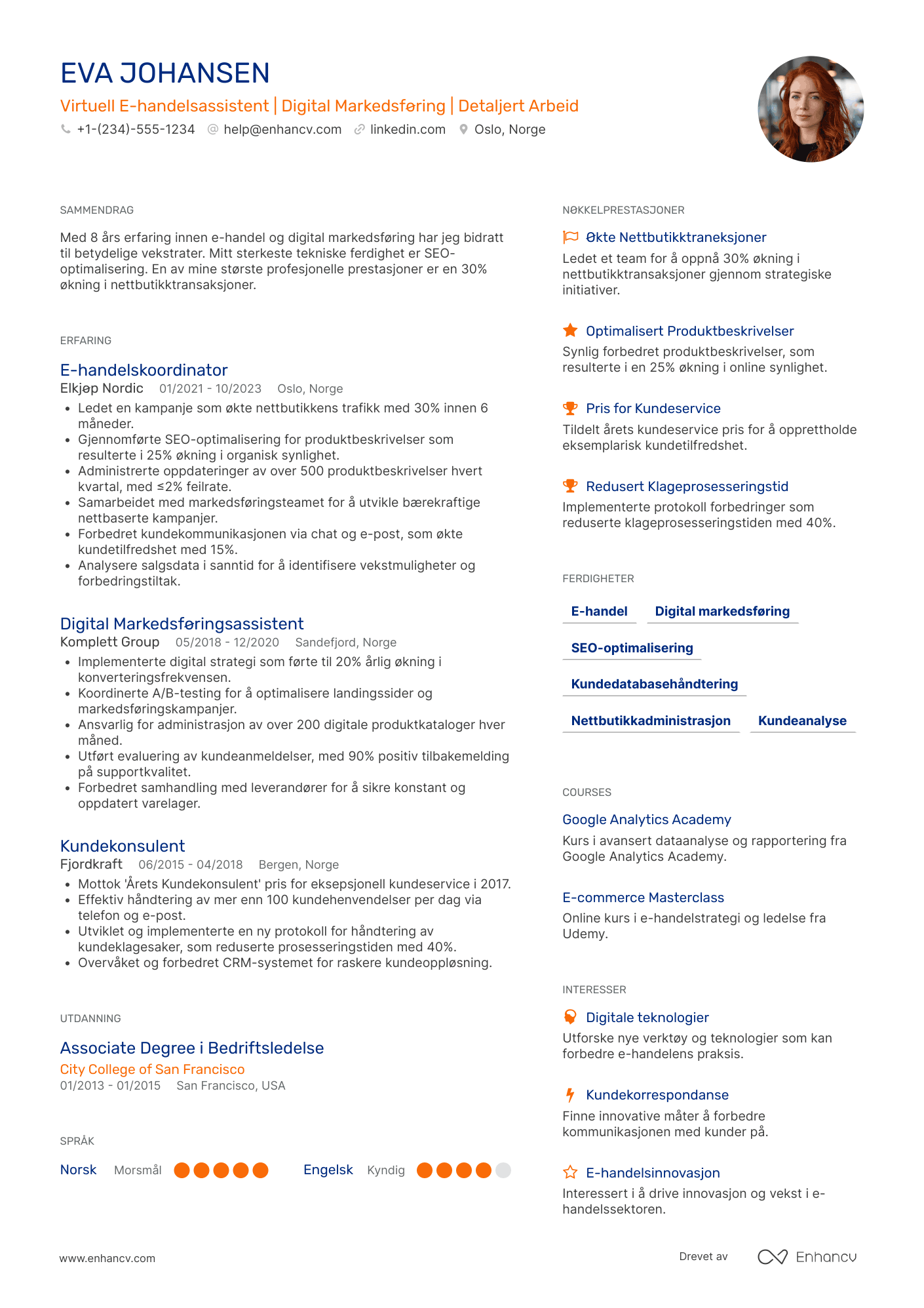 CV for Virtuell e handelsassistent Resume Example