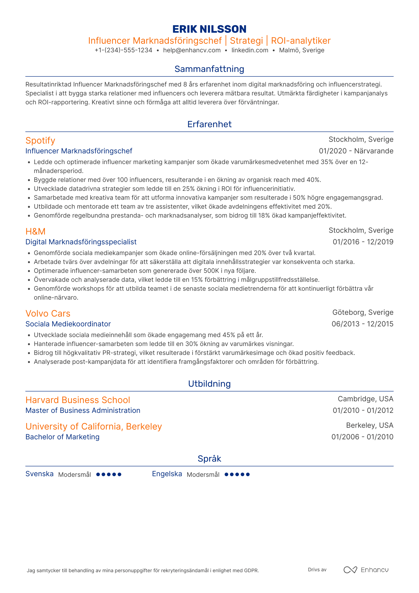 CV för Influencer Marknadsföringschef Resume Example