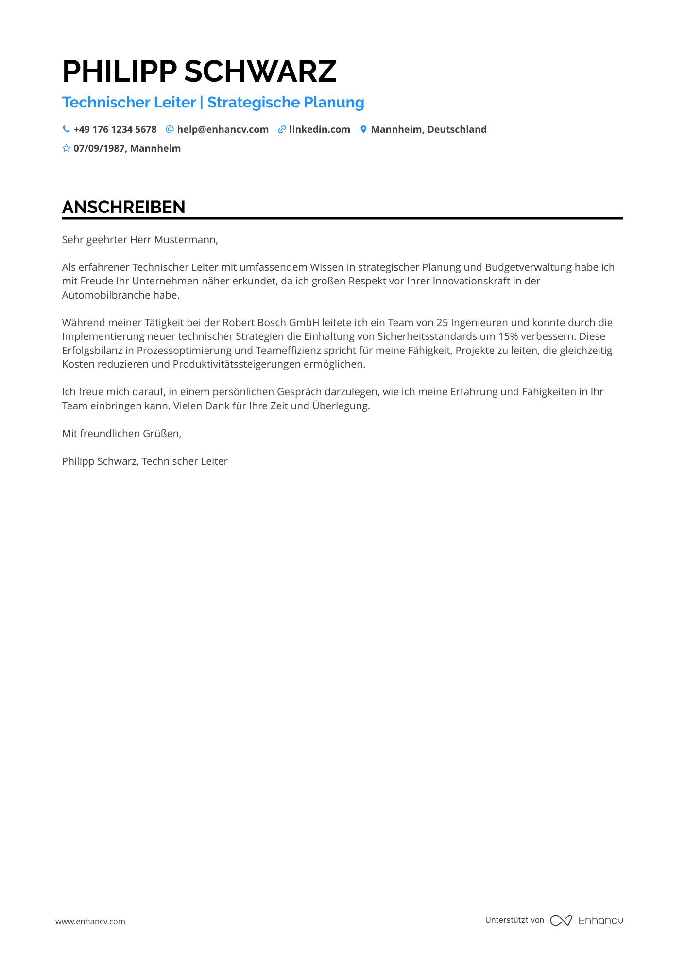 Technischer Leiter mit Berufserfahrung Resume Example