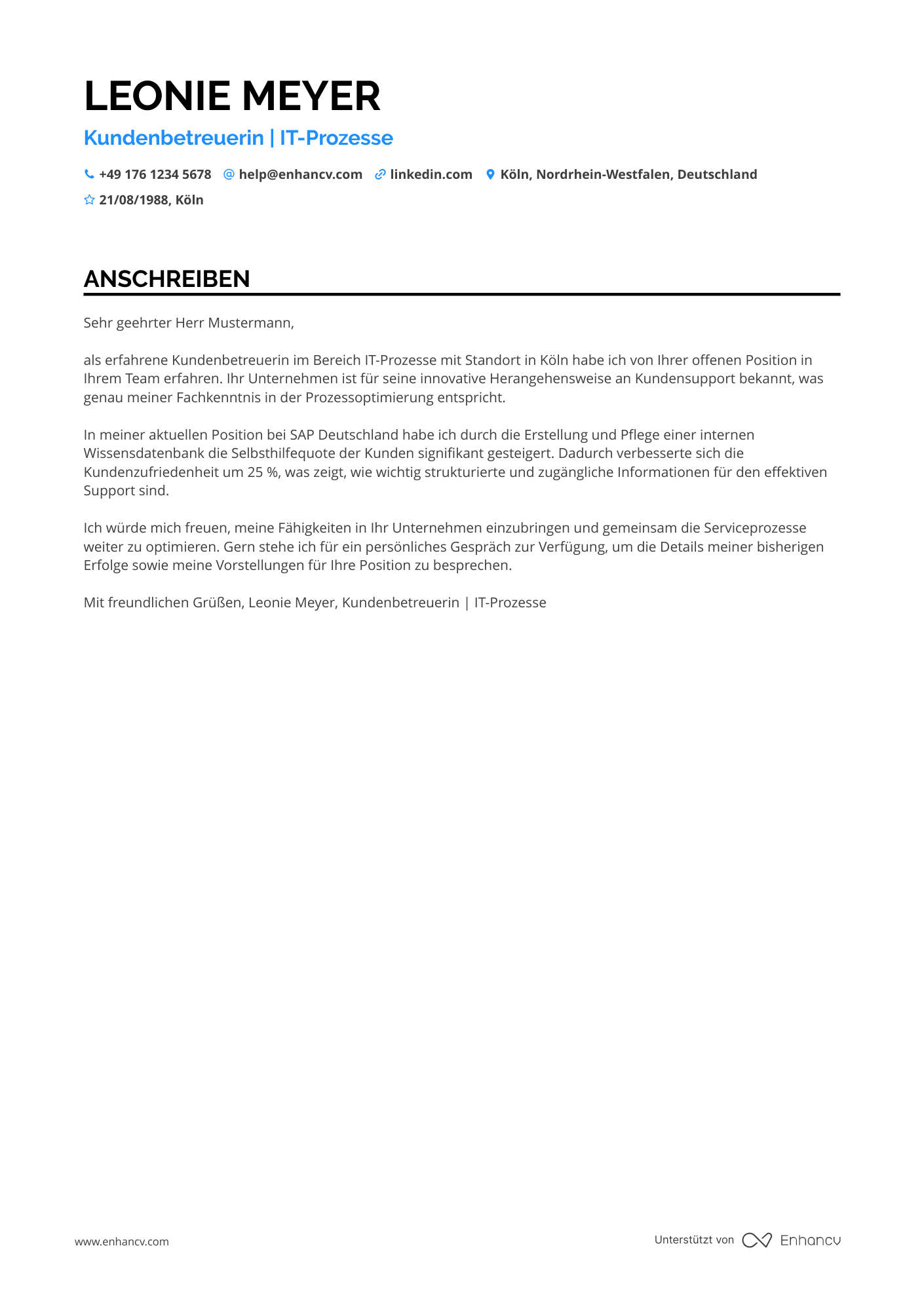 Kundenservice in der IT Branche Resume Example