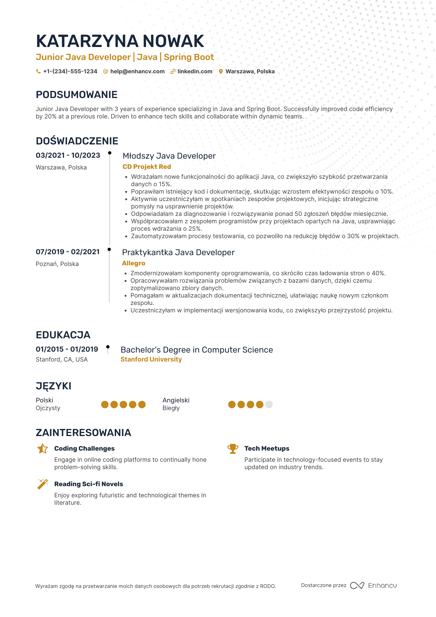 CV dla Junior Java Developer Resume Example