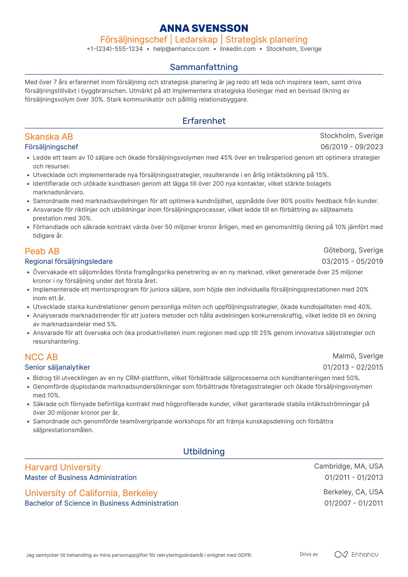 CV för Försäljningschef För Byggbranschen Resume Example