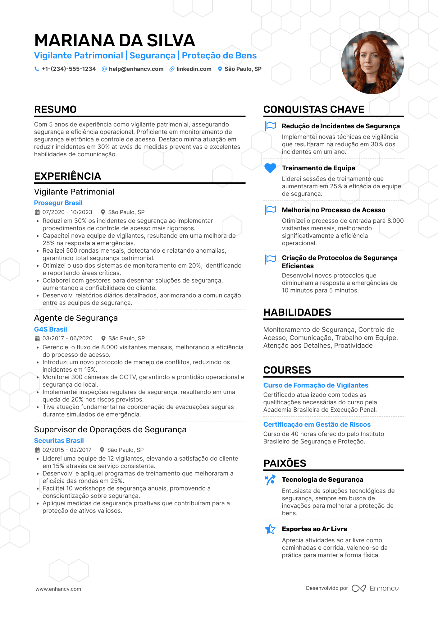 Vigilante Patrimonial Resume Example