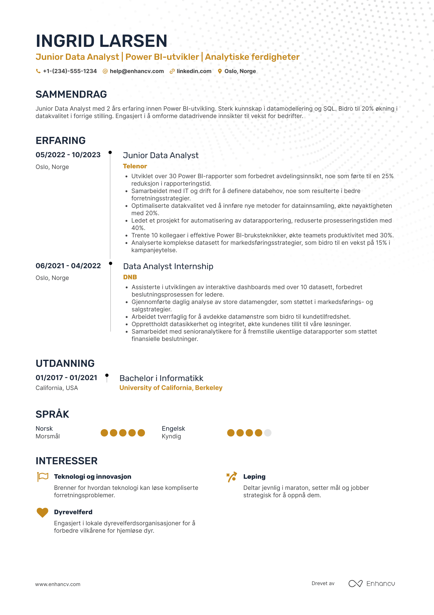 CV for Junior Data Analyst Power BI‑utvikler Resume Example