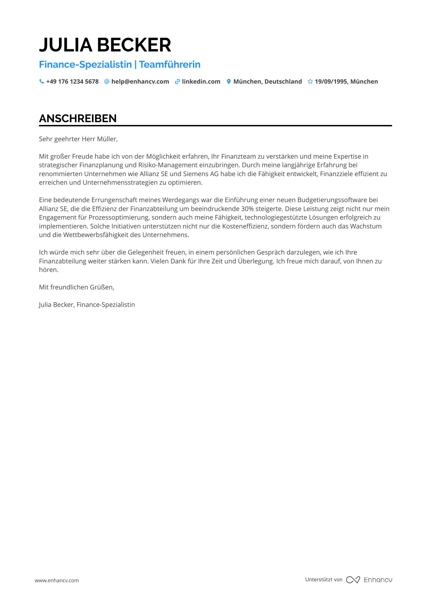 Leiter Finanzwesen Resume Example