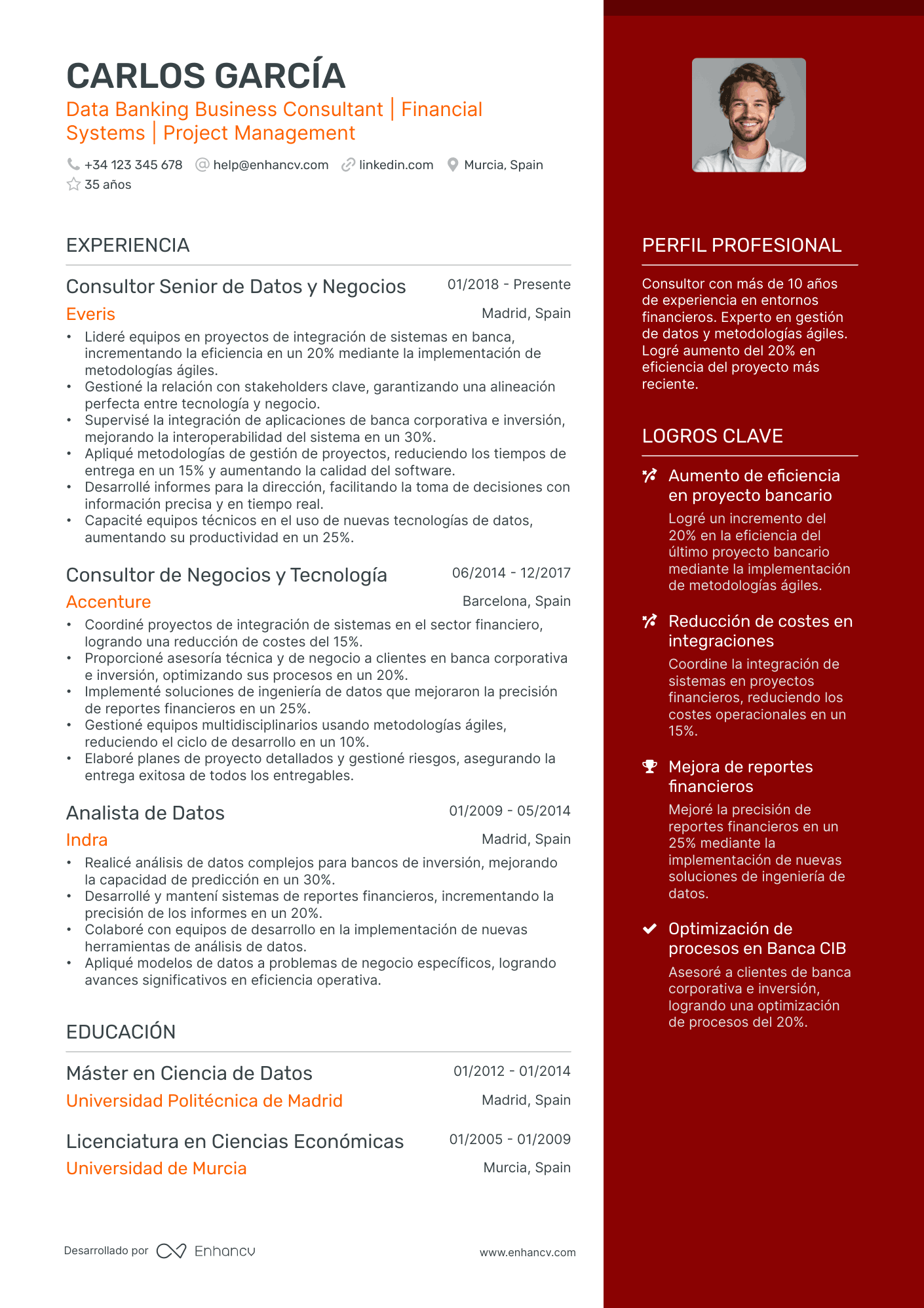 Analista Bancario Resume Example