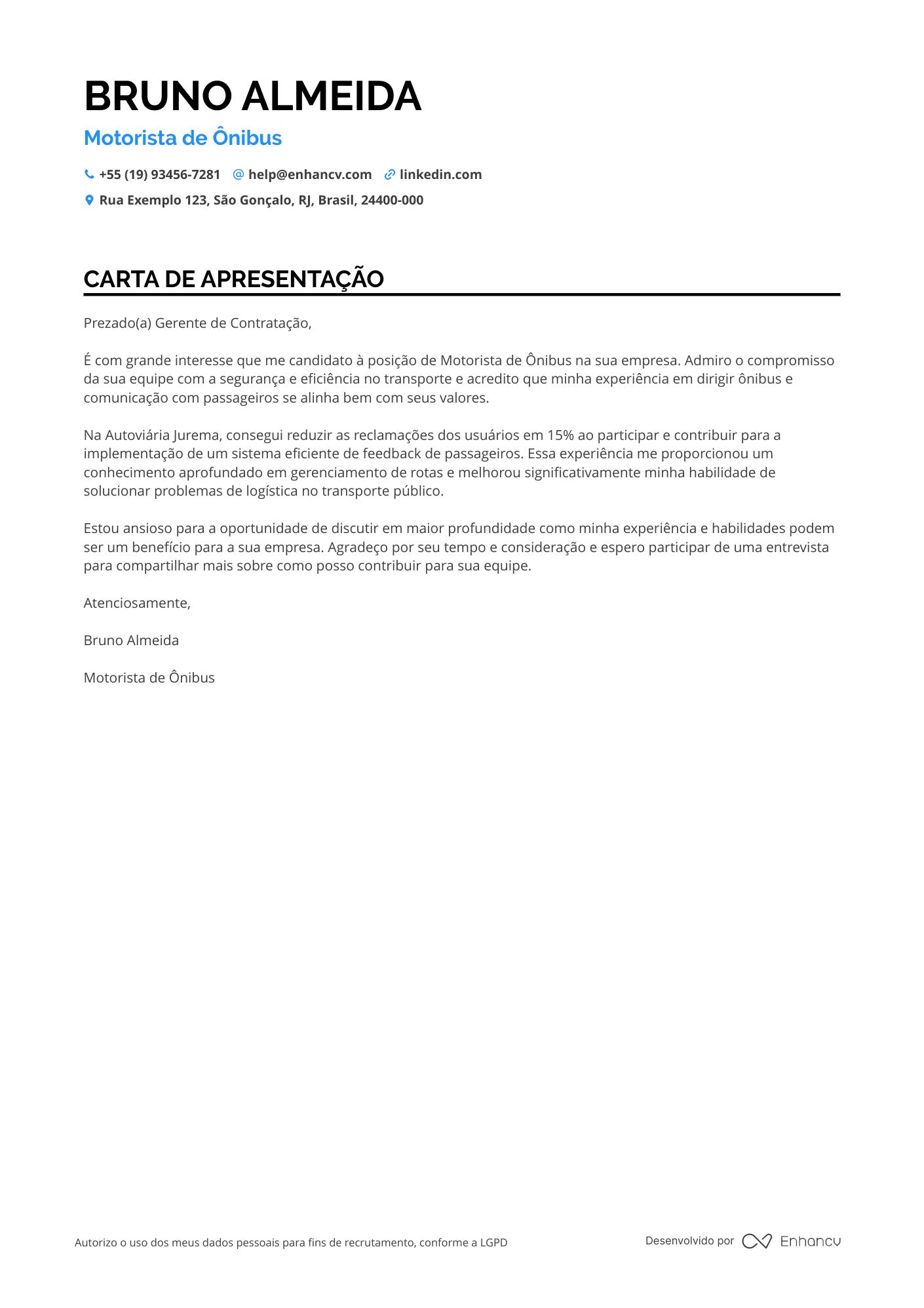 Motorista de ônibus Júnior Resume Example