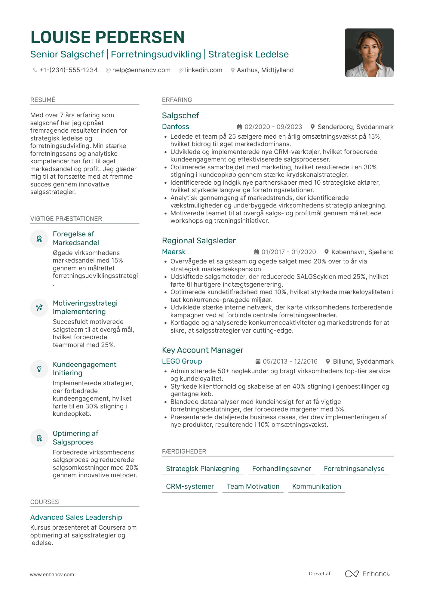 CV til Senior Salgschef Resume Example