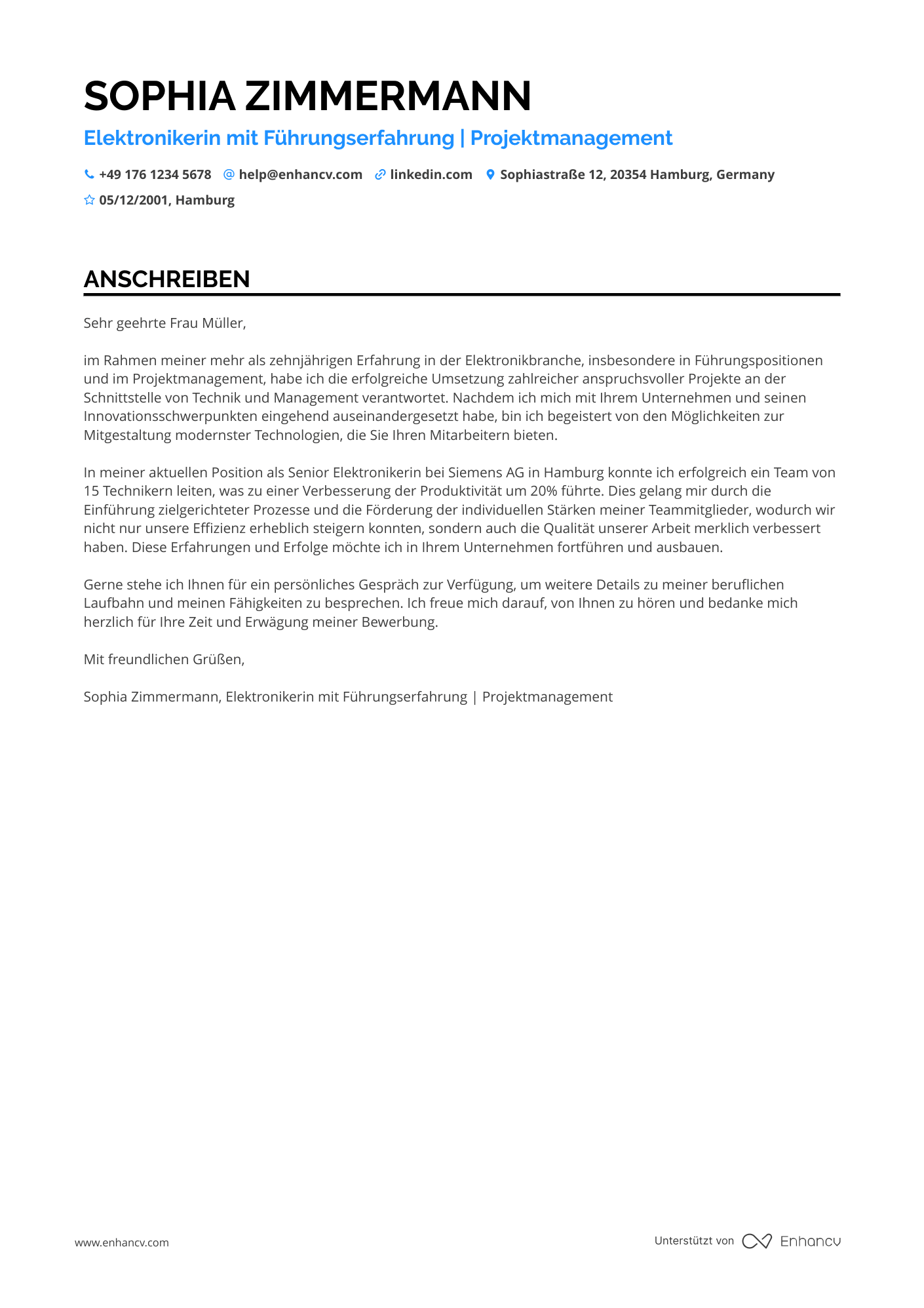 Elektroniker mit Führungserfahrung Resume Example