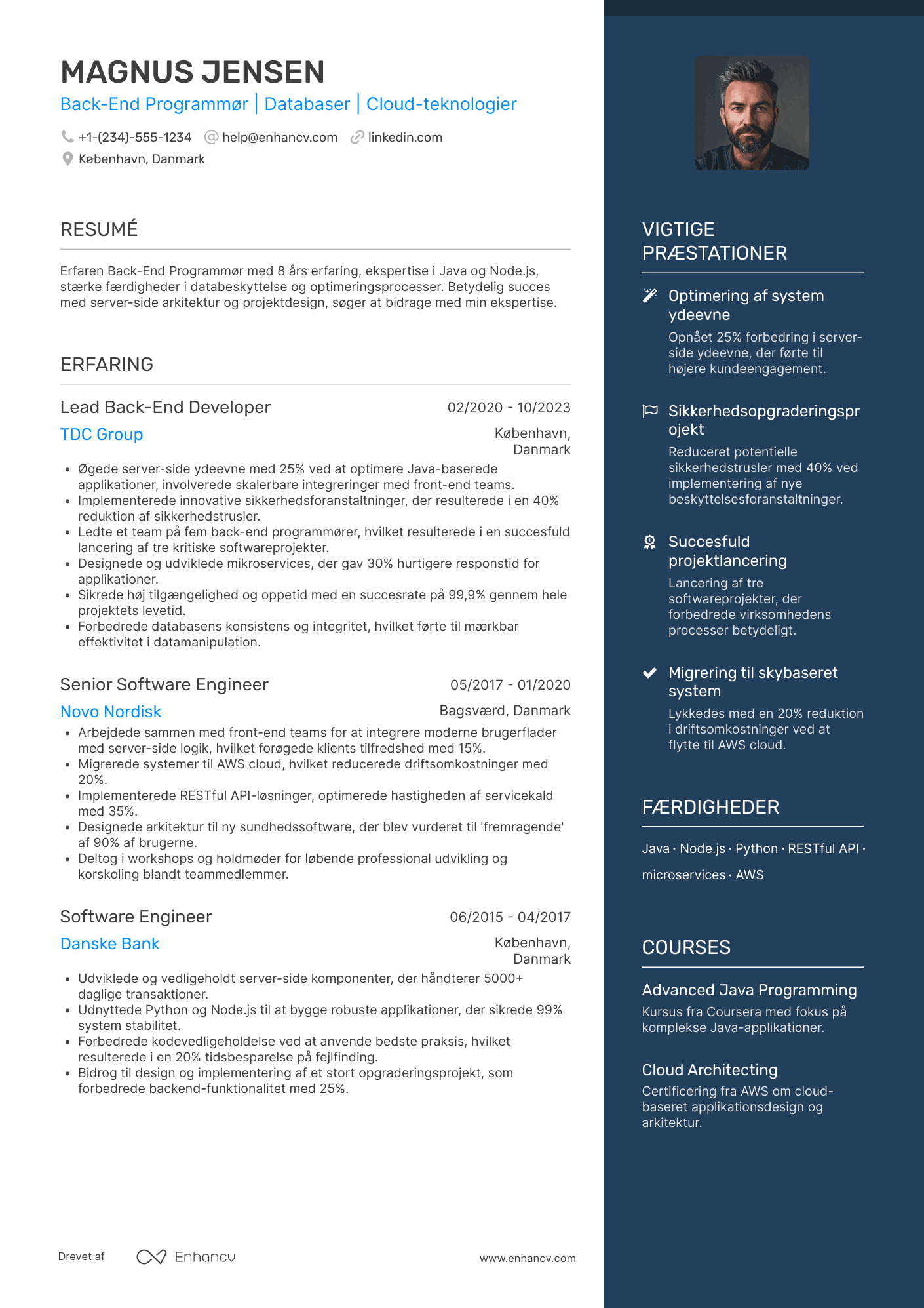 CV til Back End Programmør Resume Example