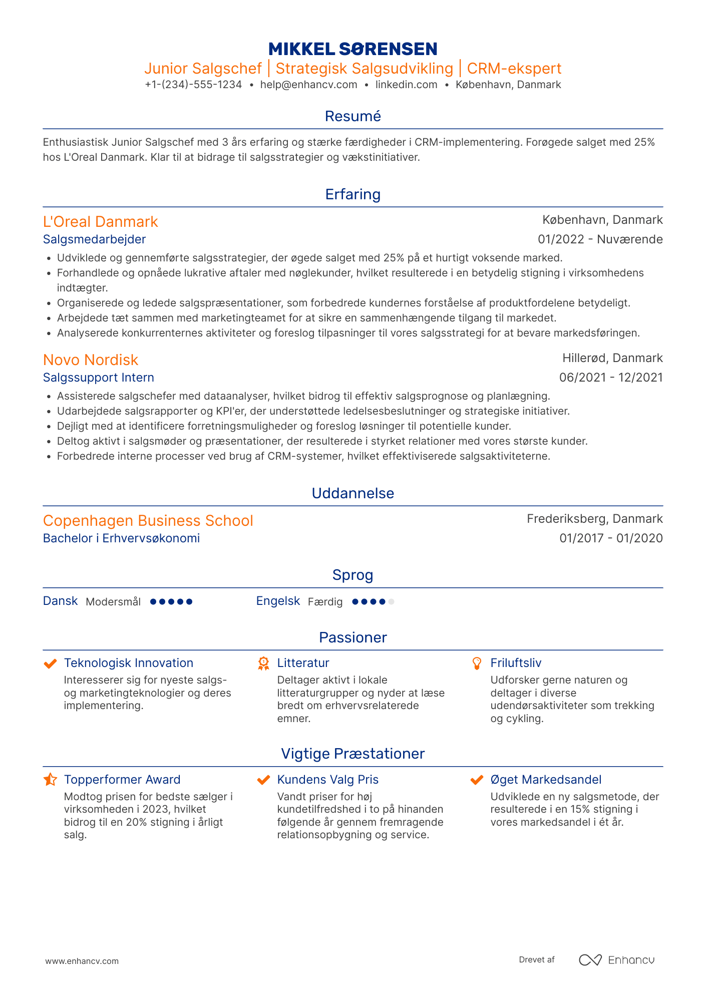 CV til Junior Salgschef Resume Example
