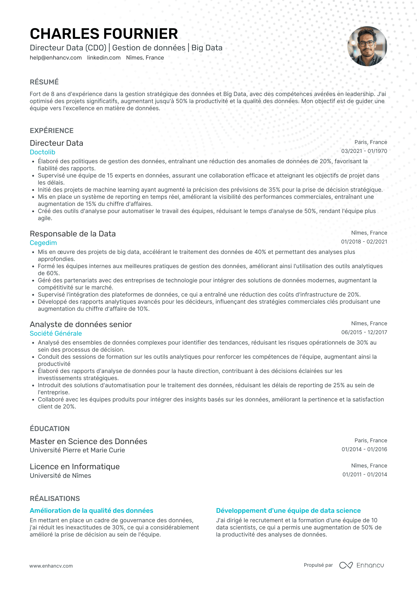 Chief Data Officer Resume Example