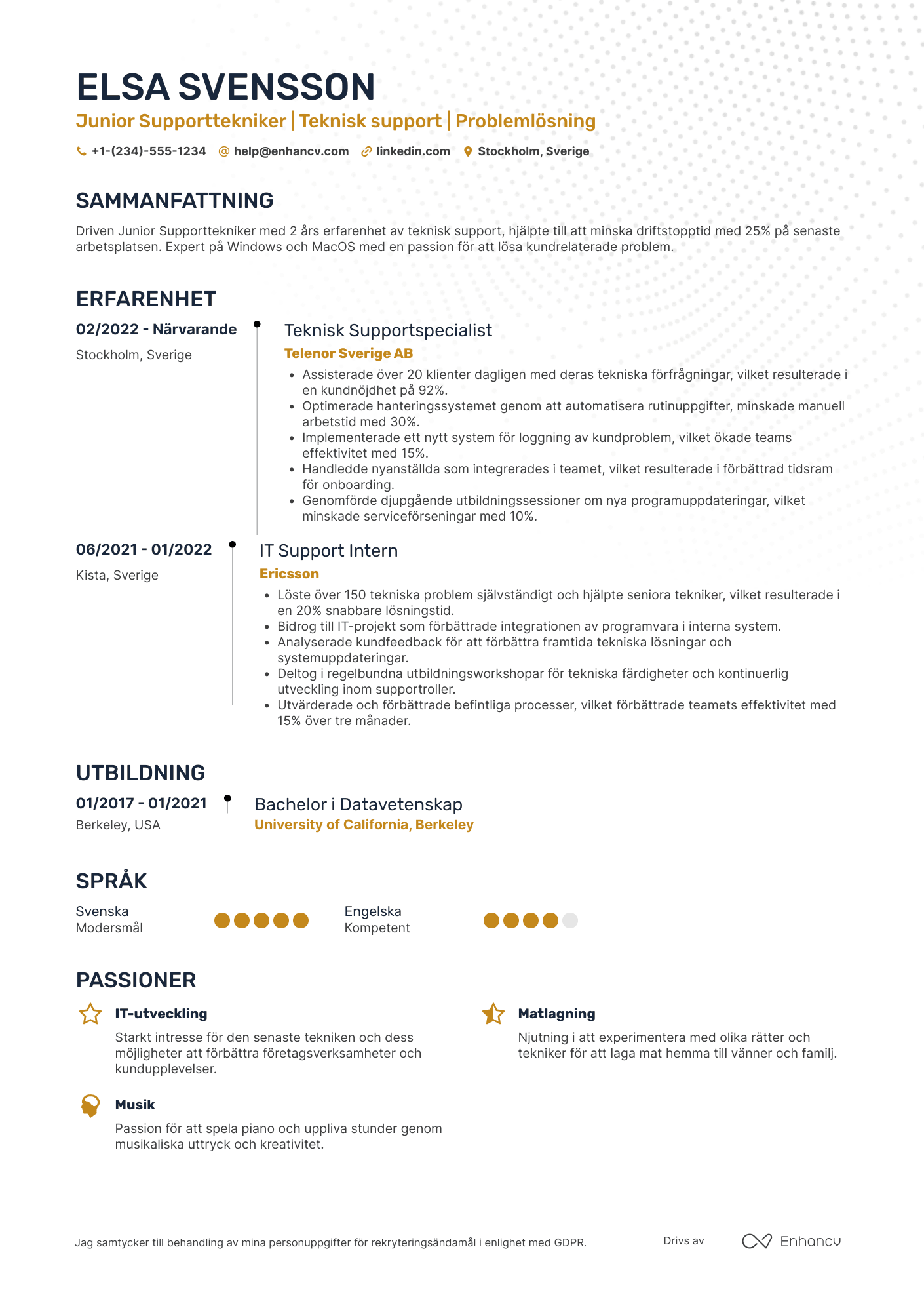 CV för Junior Supporttekniker Resume Example