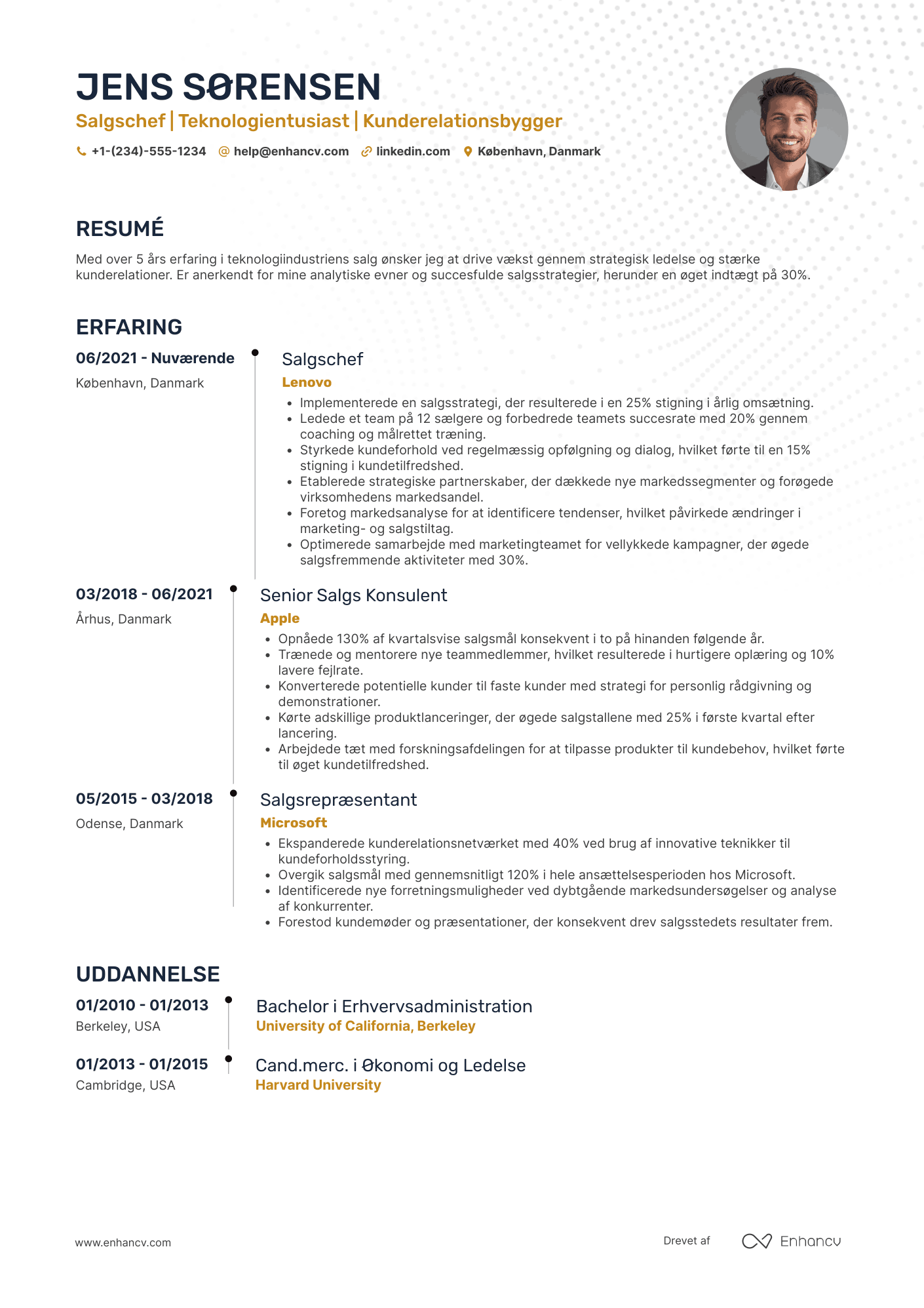 CV til Salgschef i Teknologiindustrien Resume Example