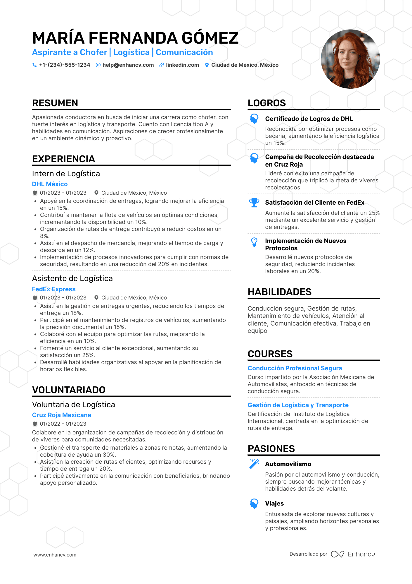 Ejemplo de currículum de chofer sin experiencia Resume Example