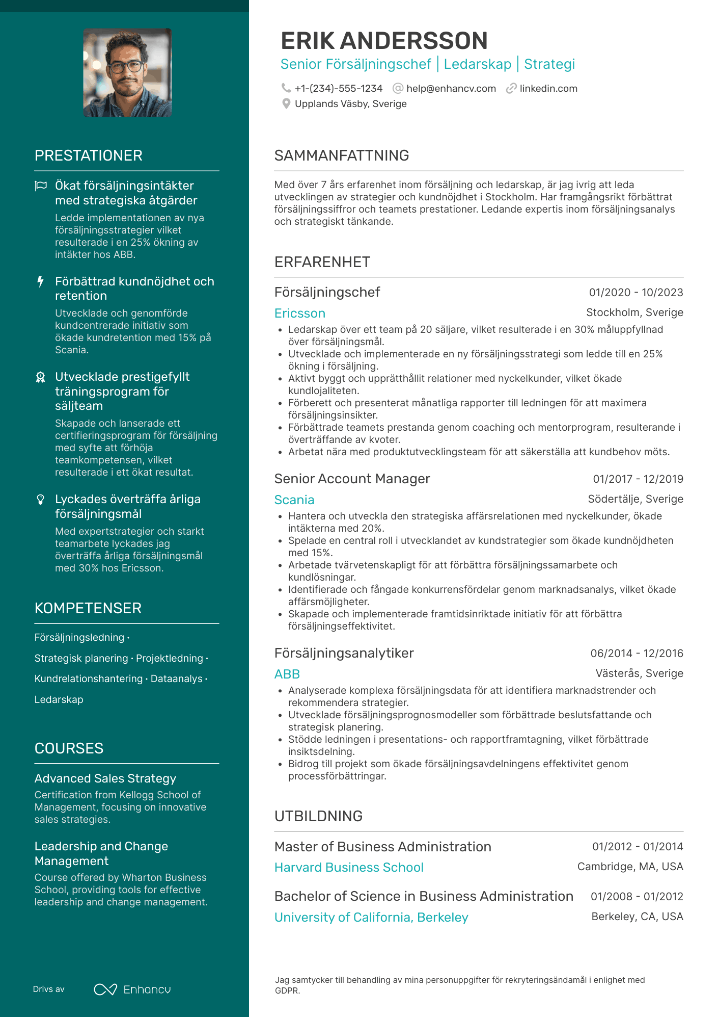 CV för Senior Försäljningschef Resume Example