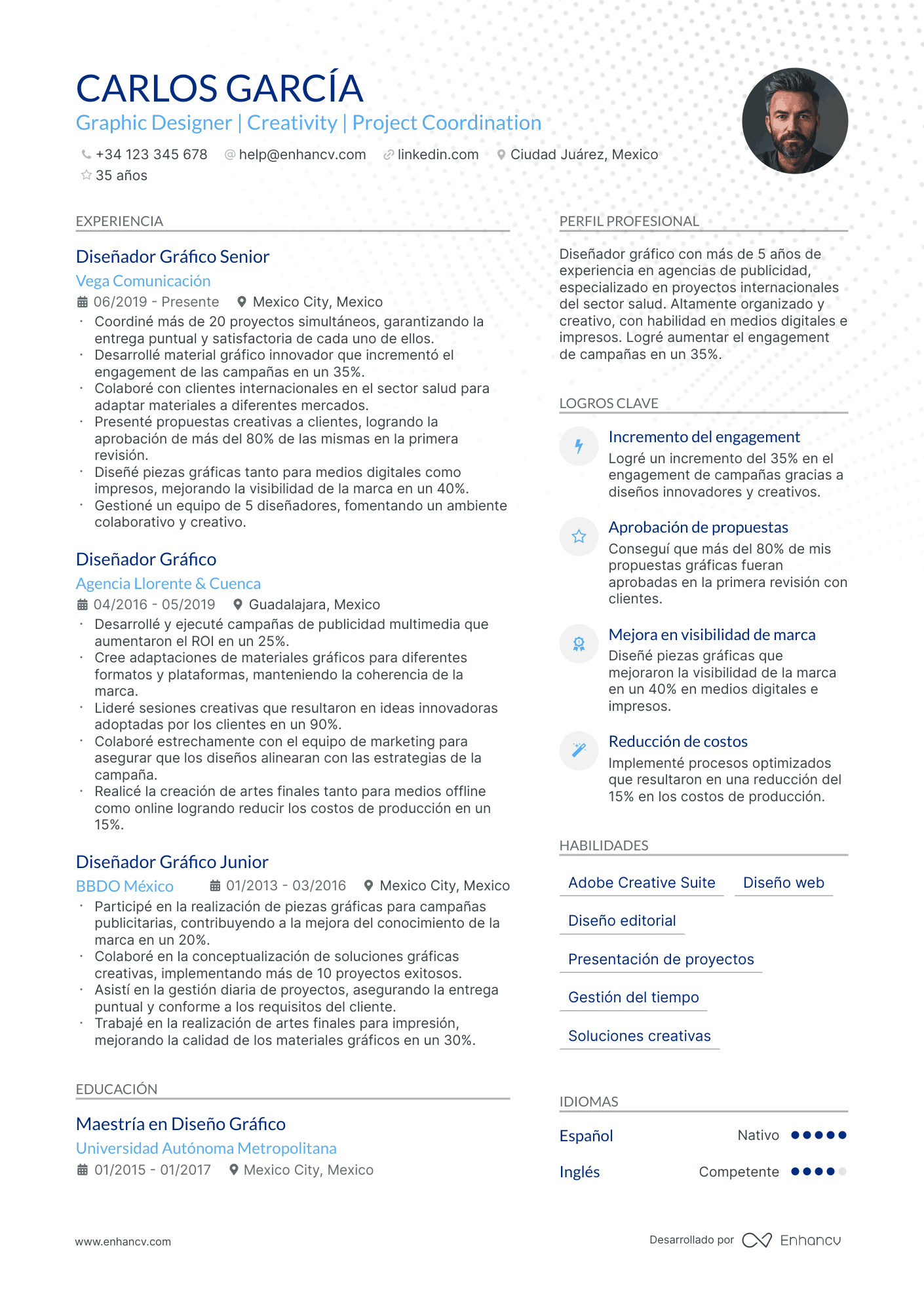 Diseñador Gráfico Freelance Resume Example