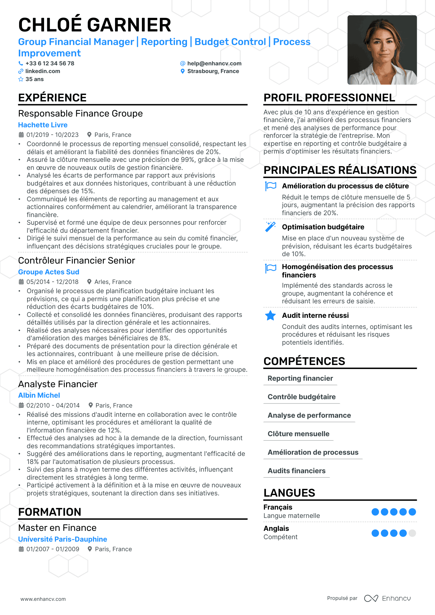 Directeur Financier Resume Example