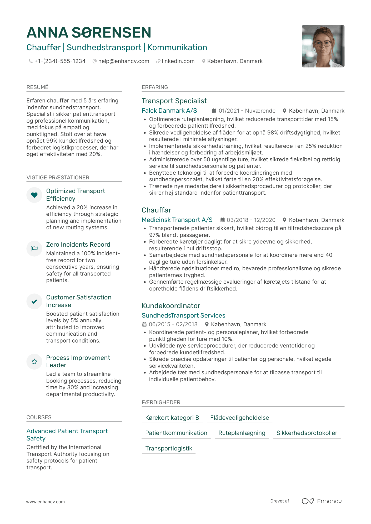 CV til Chauffør i sundhedssektoren Resume Example