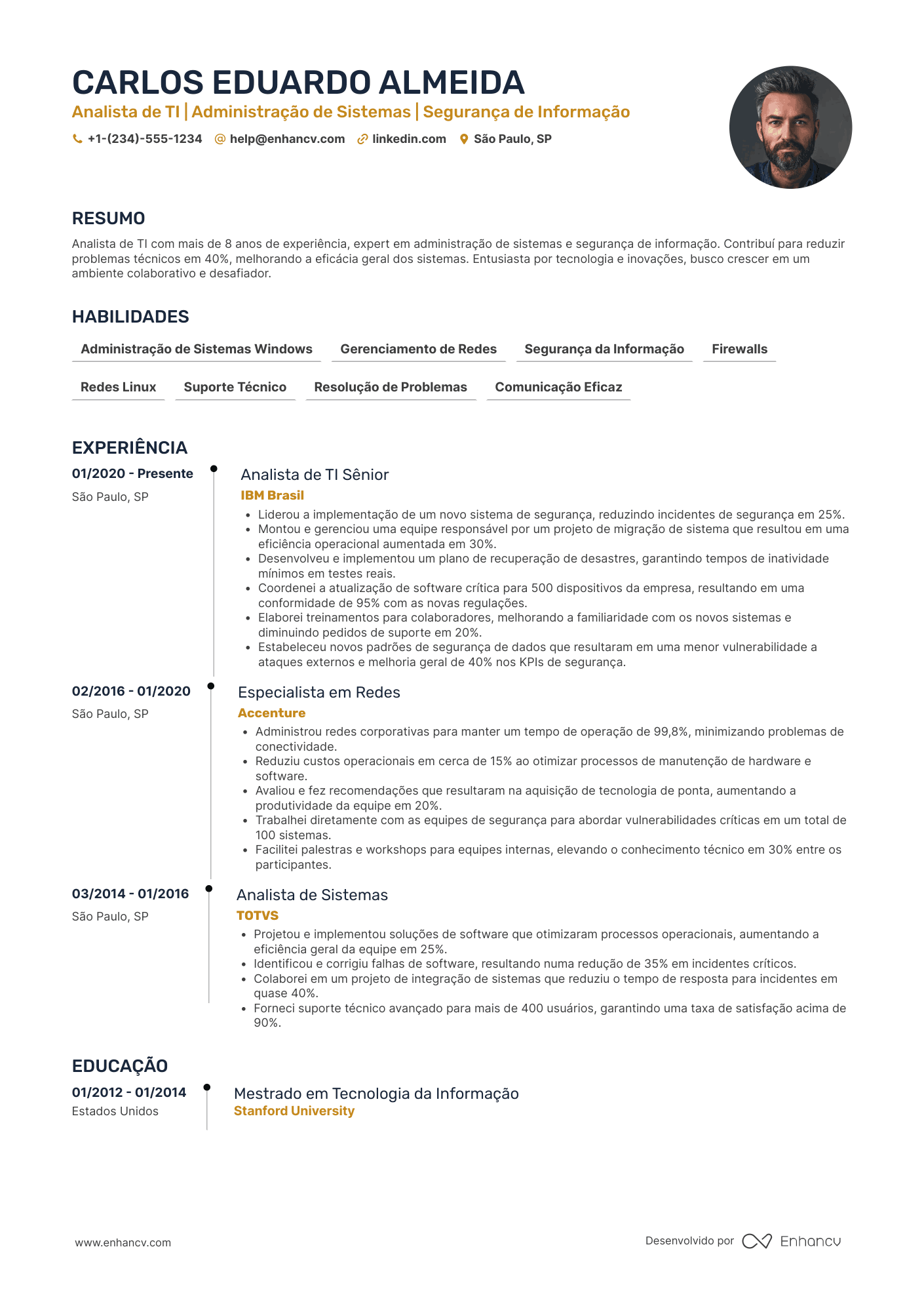 Currículo de analista de TI Resume Example