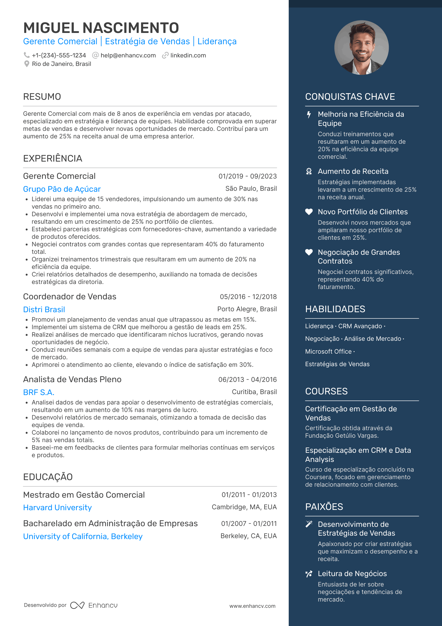 Currículo gerente comercial atacado Resume Example