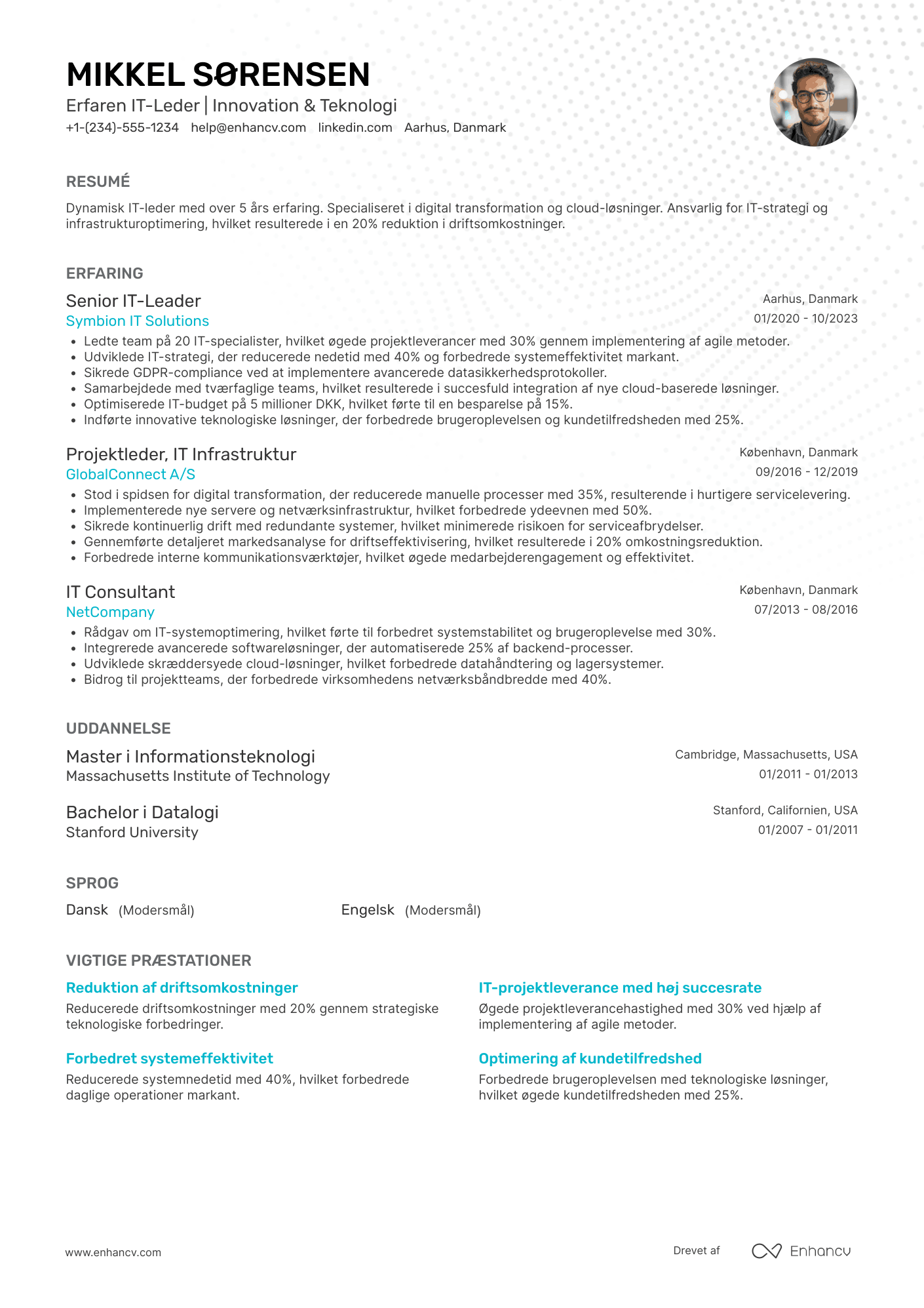 CV til Erfaren IT leder Resume Example