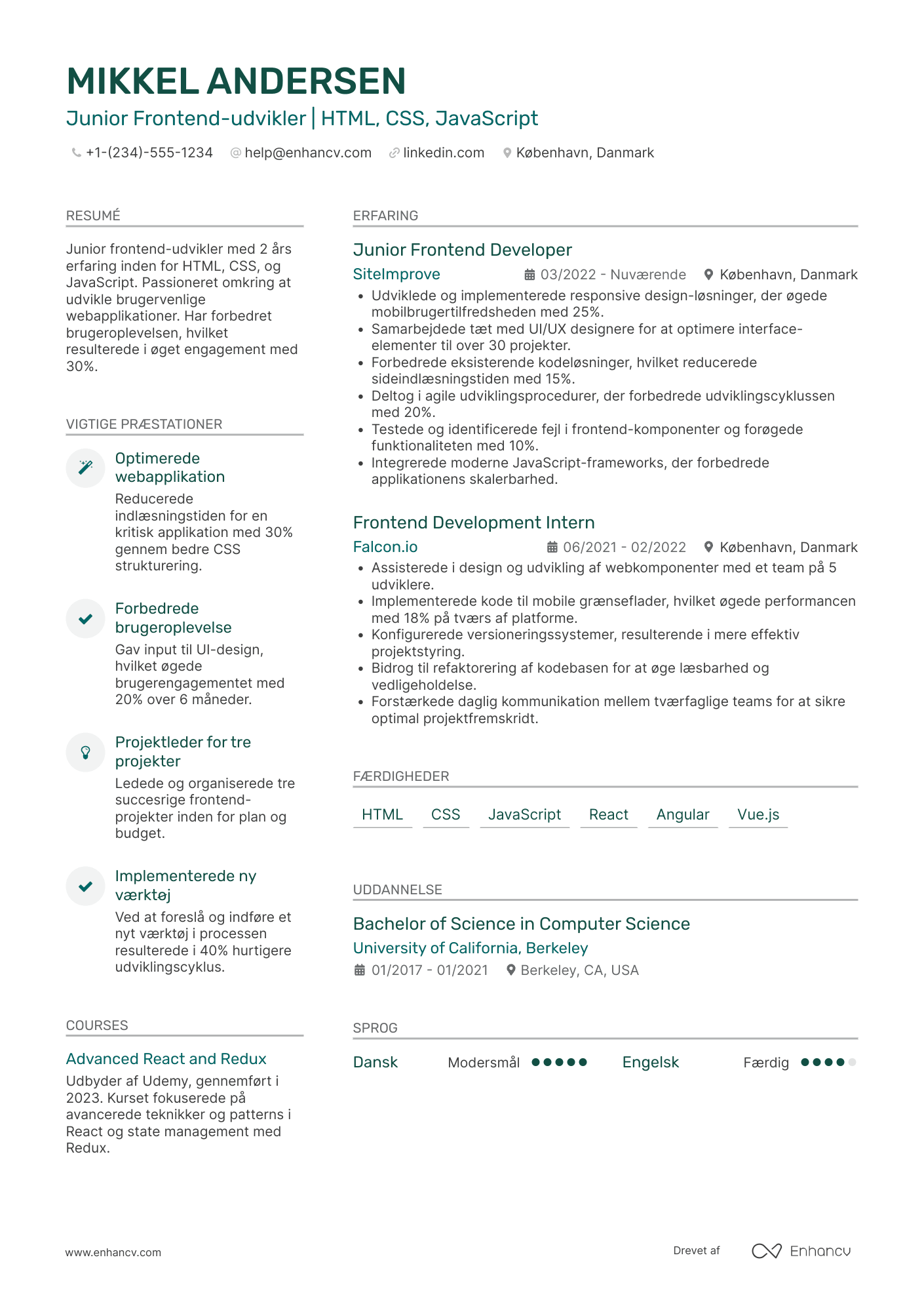 CV til Junior frontend udvikler Resume Example