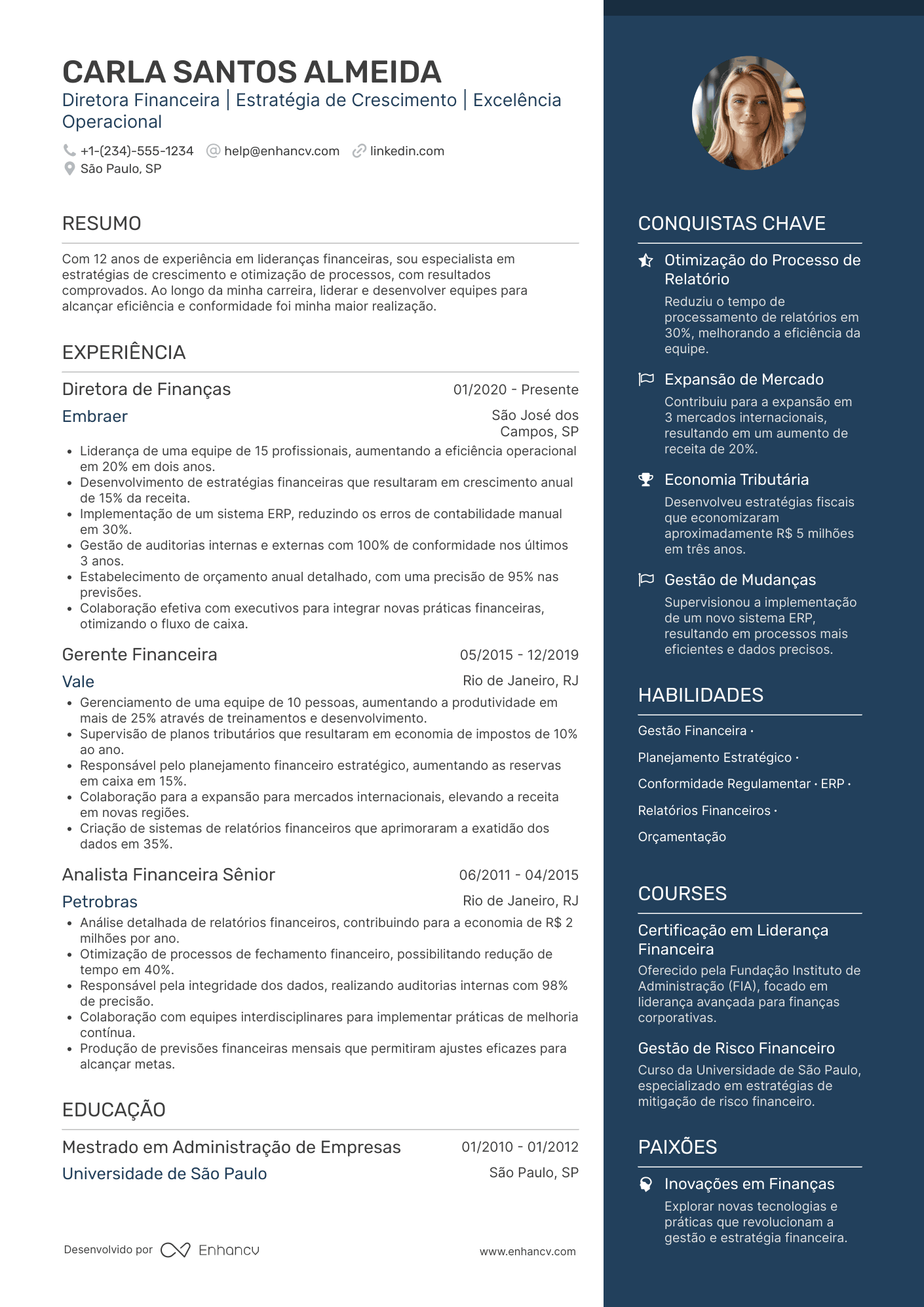 Diretor financeiro Resume Example