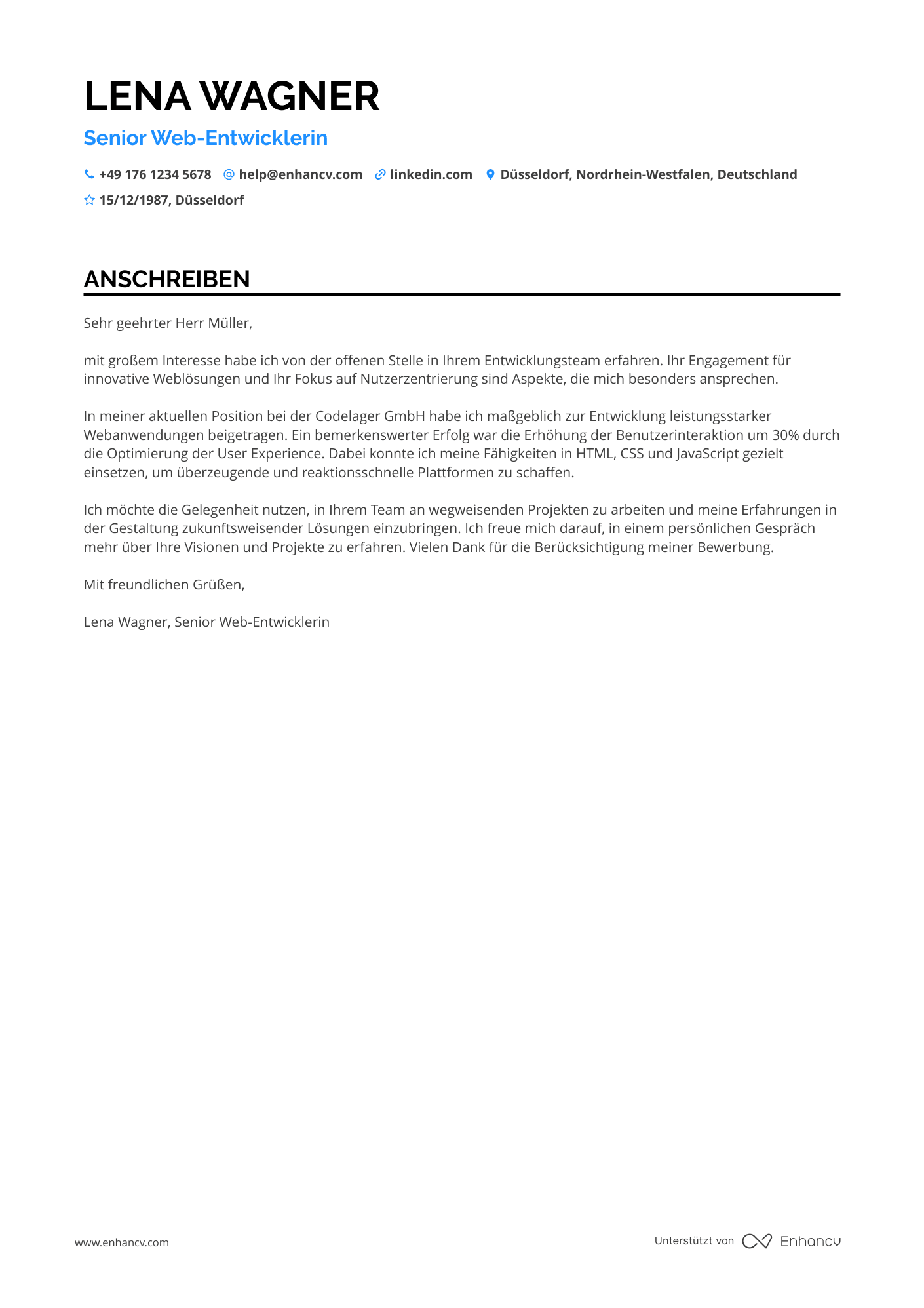 Web Programmierer Resume Example