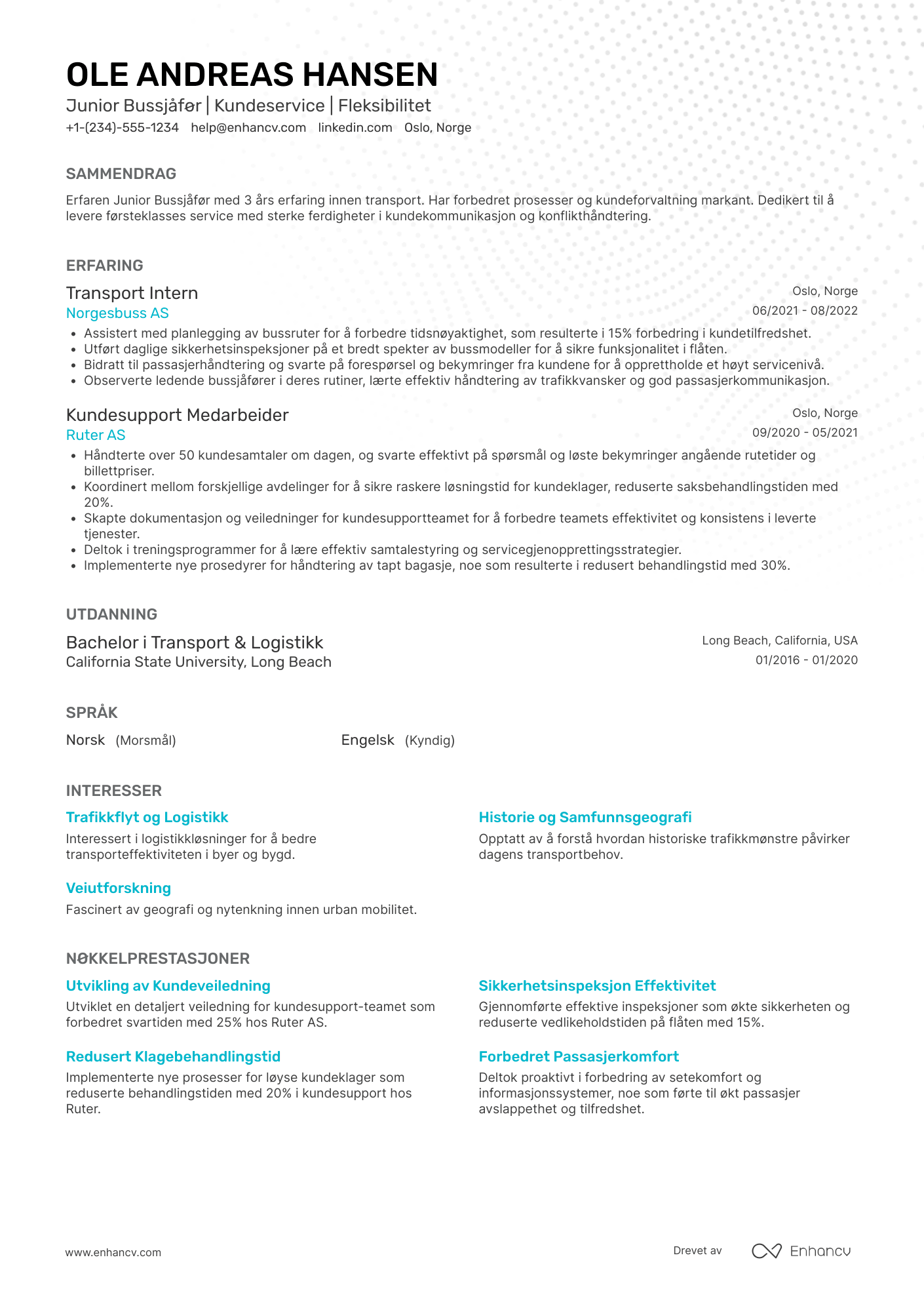 CV for Junior bussjåfør Resume Example