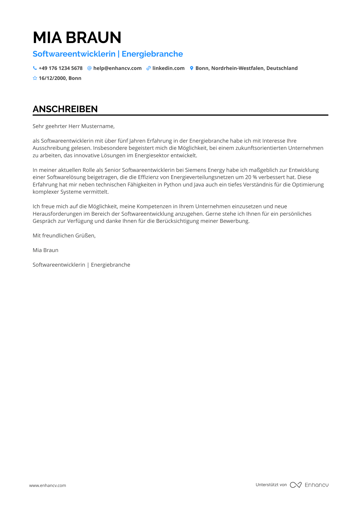 Programmierer in der Energieindustrie Resume Example