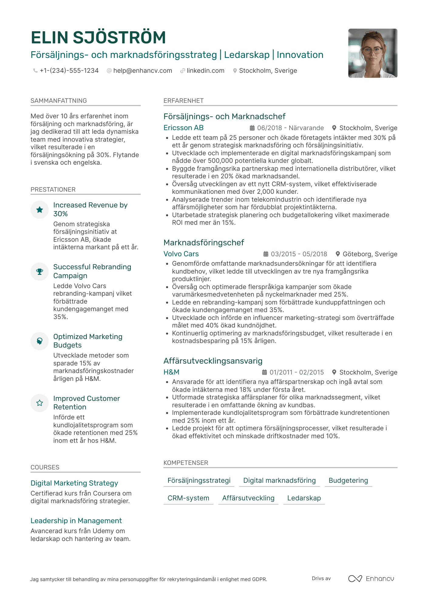 CV för Försäljnings  och marknadsföringsdirektör Resume Example