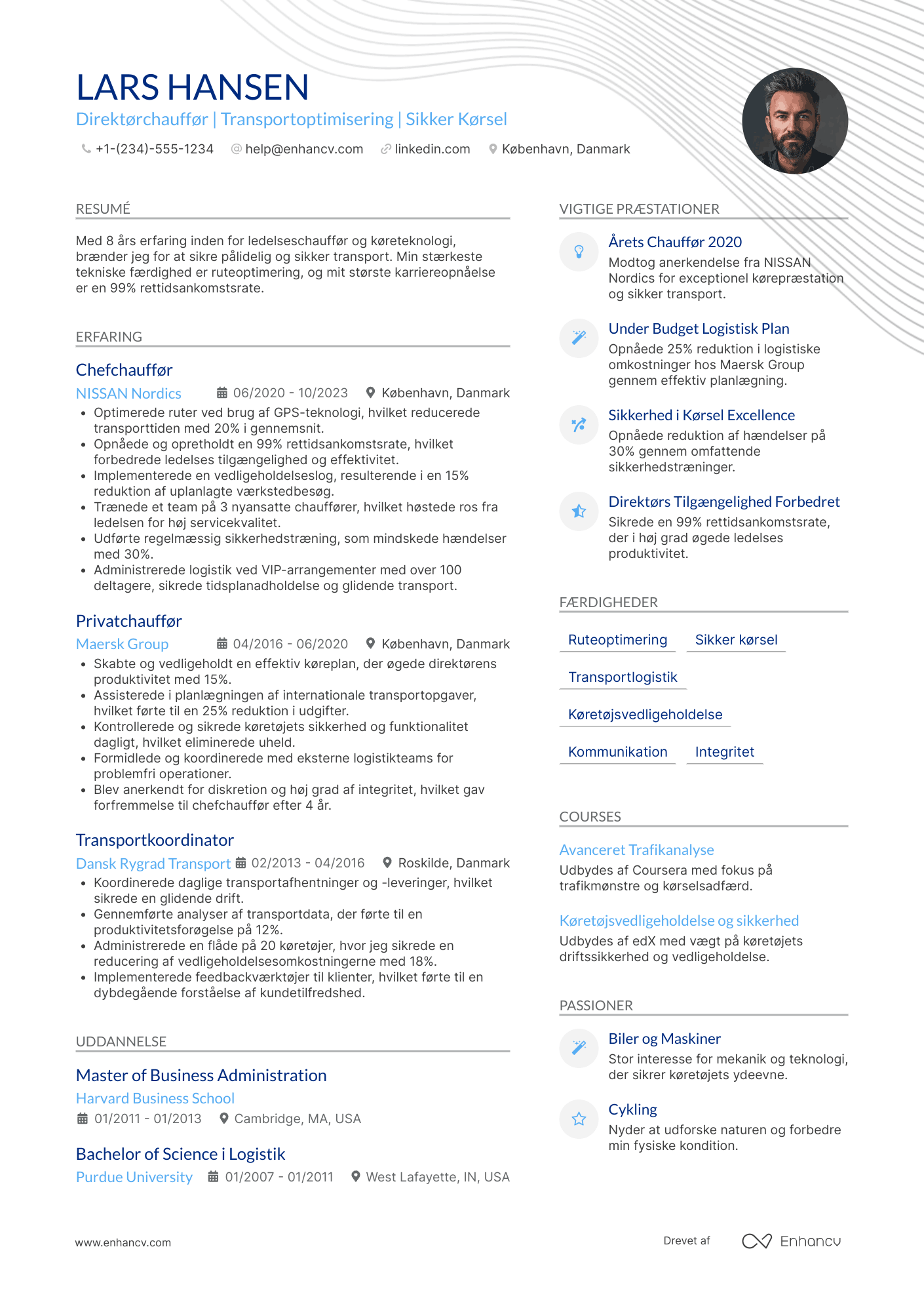 CV til Direktørchauffør Resume Example