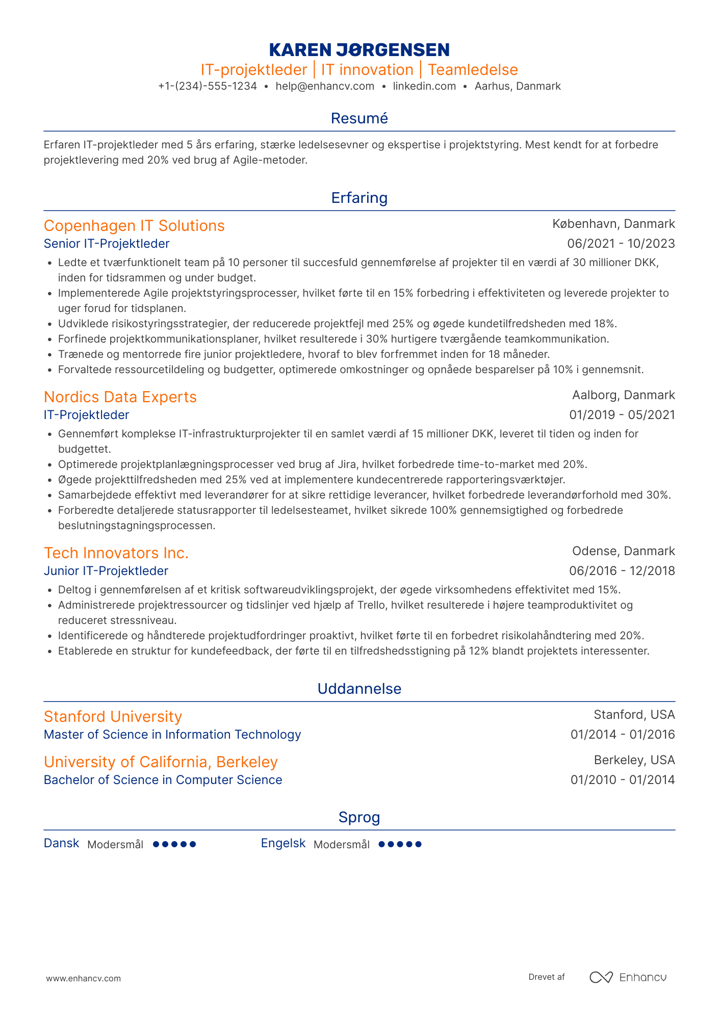 CV til IT Projektleder Resume Example