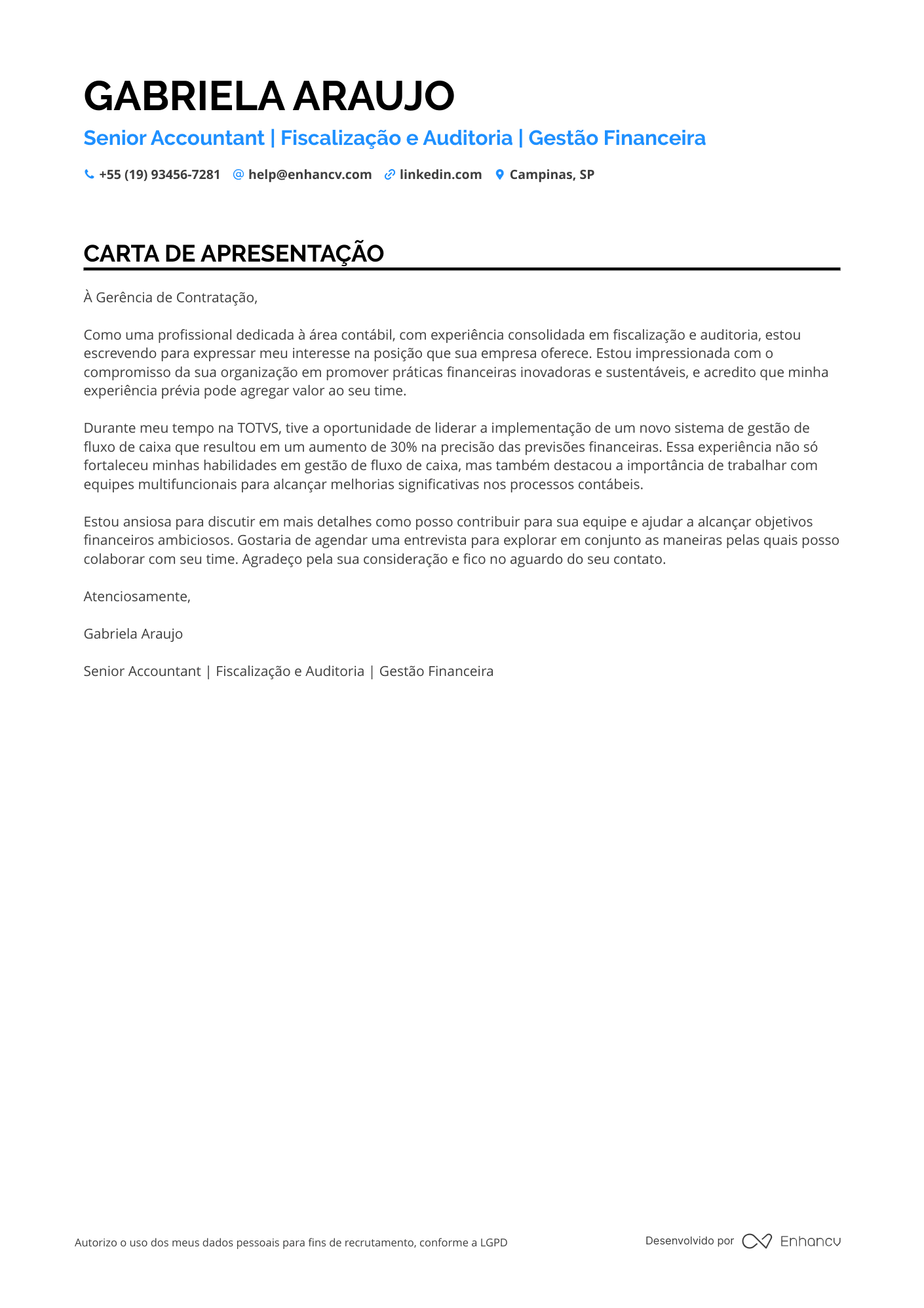 Contador Sênior Resume Example